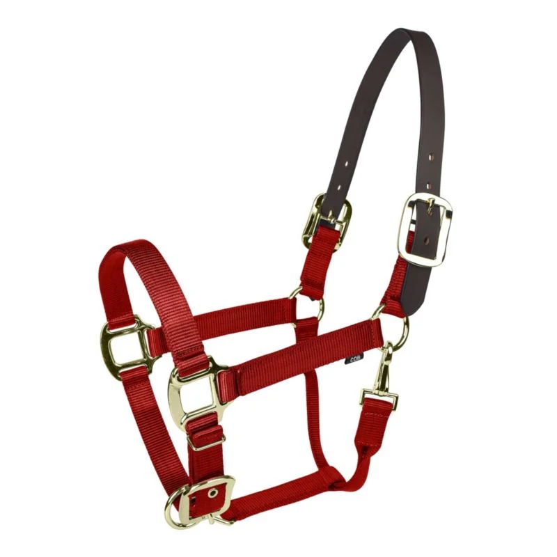 Gatsby Gold Nylon Breakaway Halter - Image 8