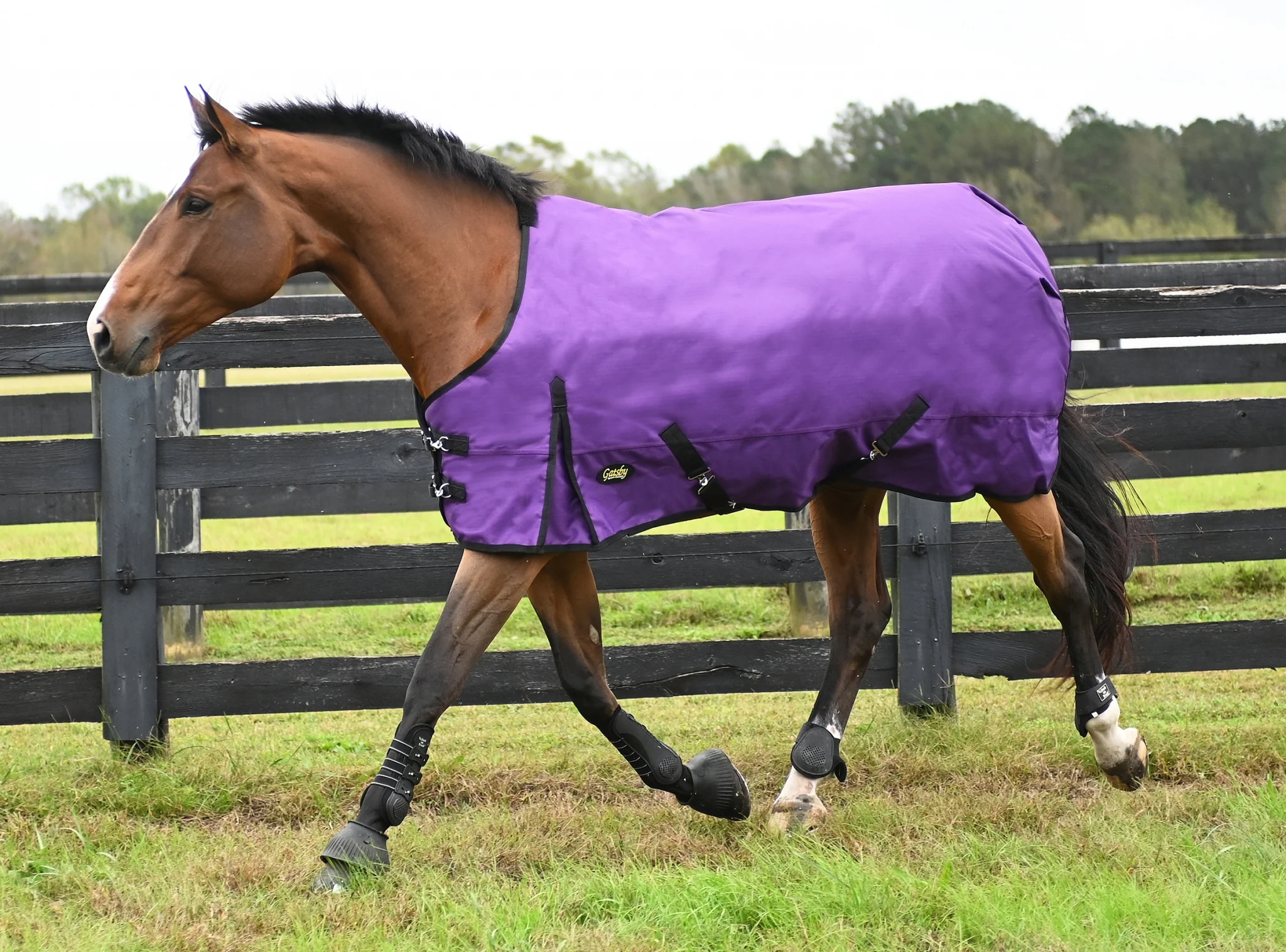Gatsby Premium 1200D WP Turnout Blanket - Image 3
