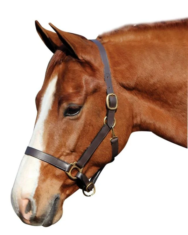 Advantage Leather Halter/Comfort Padding Cob Brn - Image 2