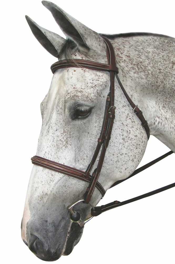 Henri De Rivel Pro Stress Free Fancy Padded Bridle