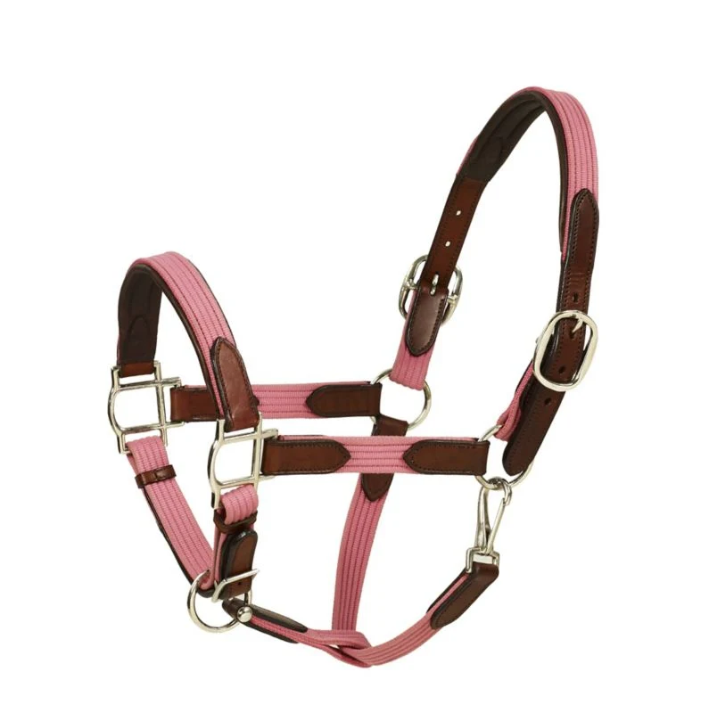 HK Americana Leather Padded Web Halter Full Black/ - Image 8