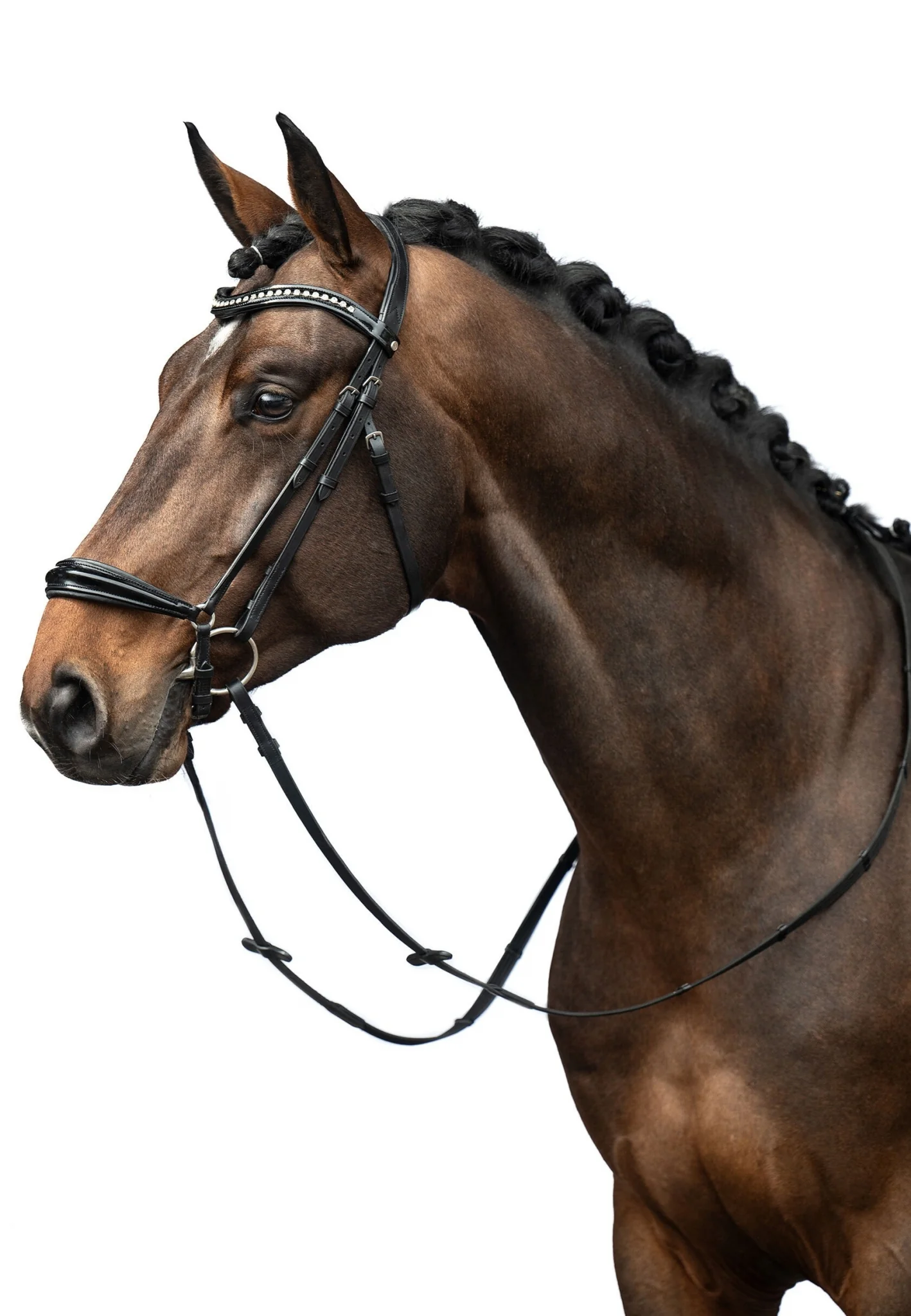 HKM Carolin Bridle - Image 2