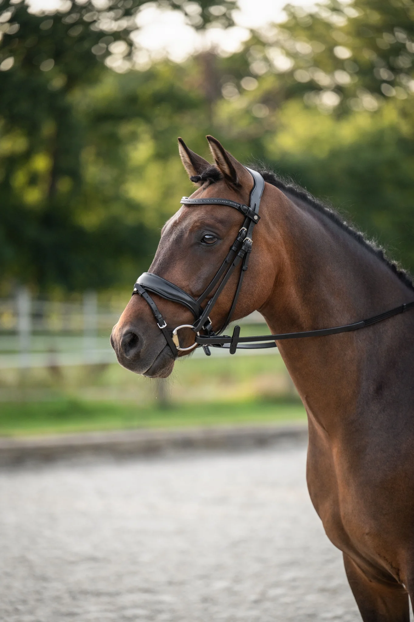 HKM Ira Bridle - Image 3