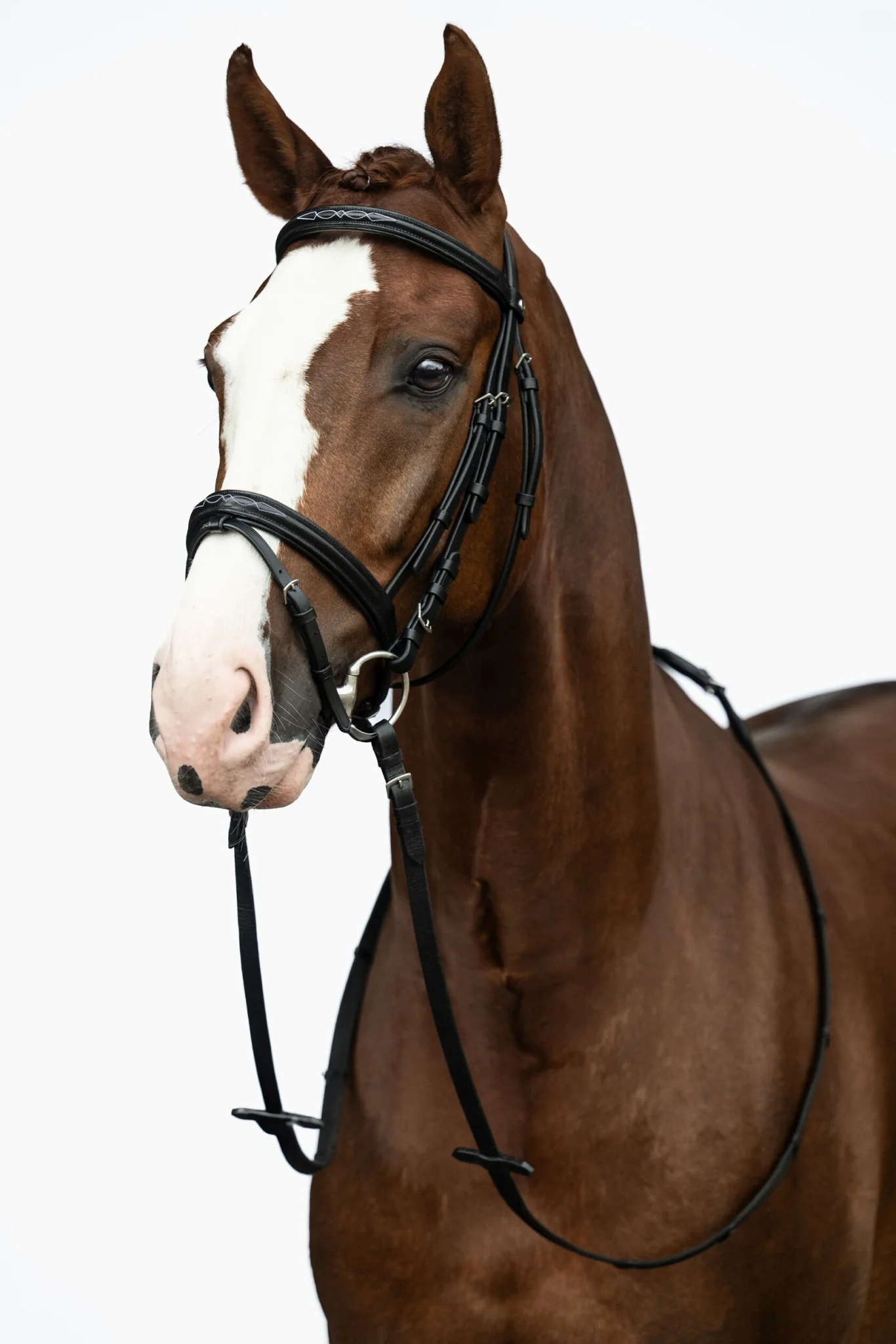 HKM Jana Bridle - Image 6