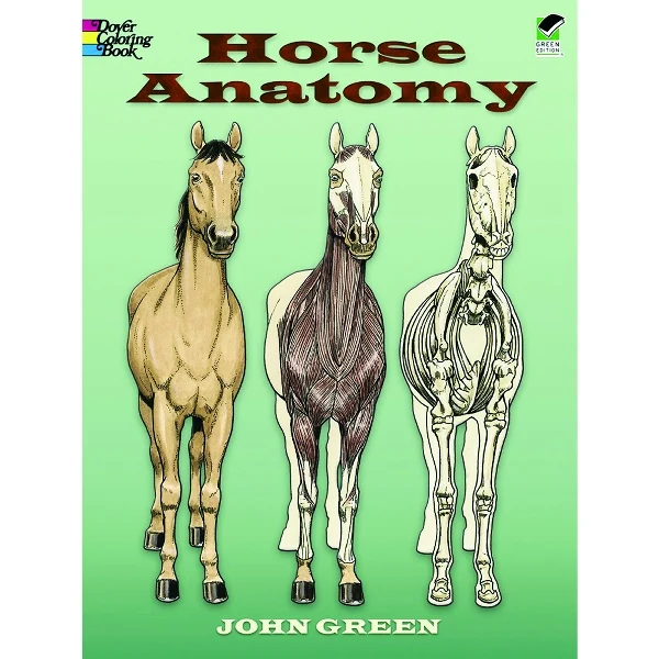 Horse Anatomy Coloring Book