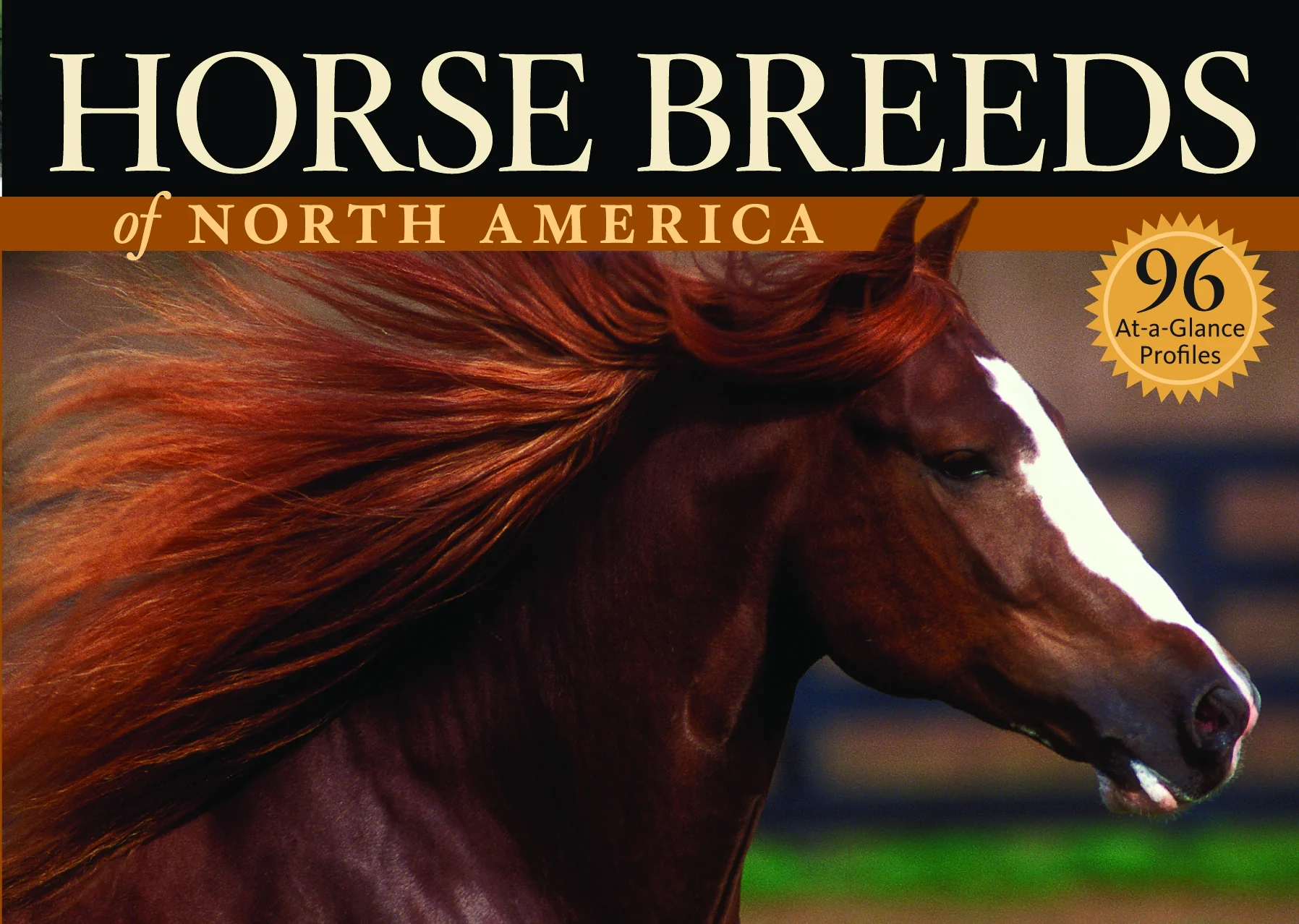 Horse Breeds of North America