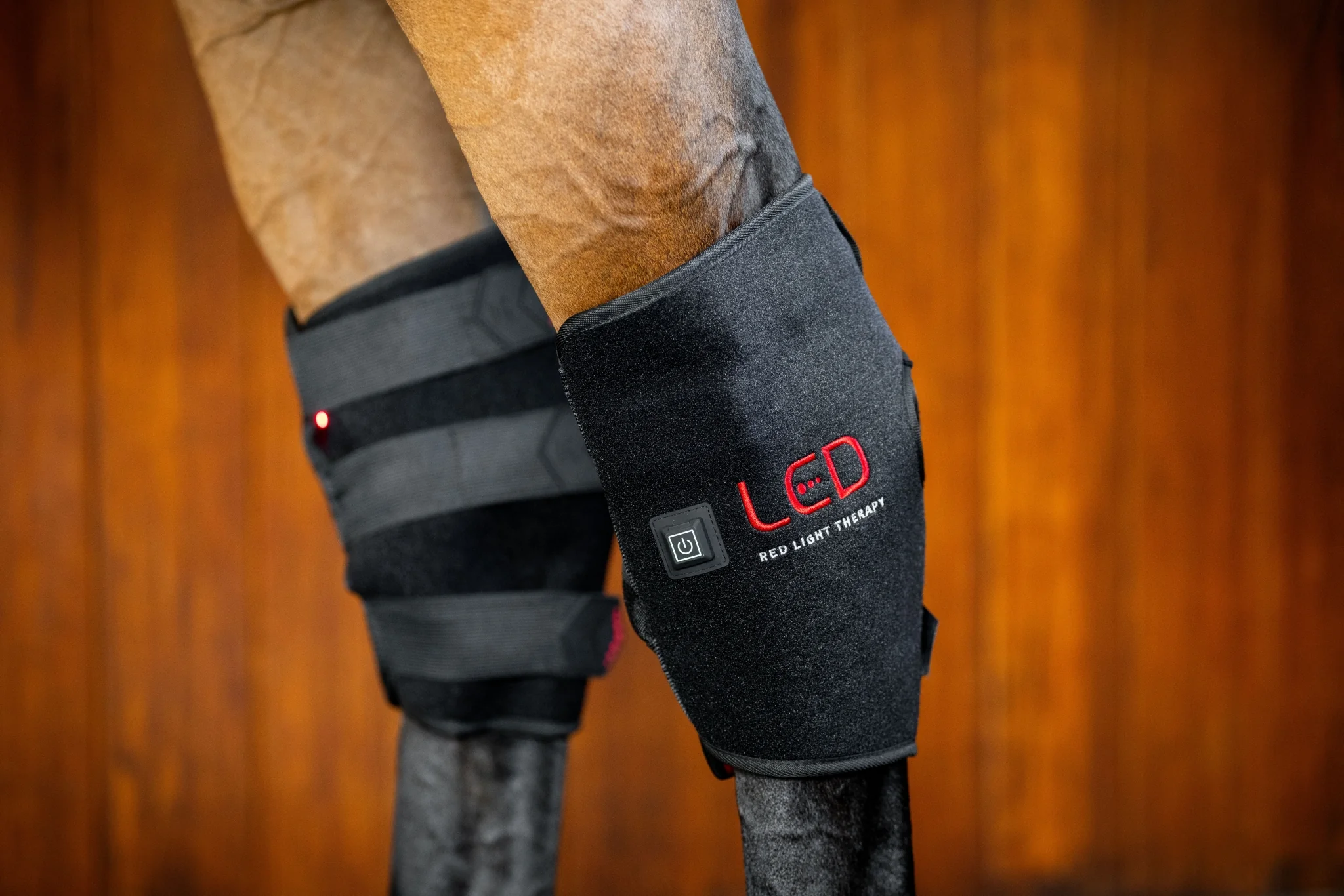 Horseware LED Red Light Therapy Hock Boot - Image 2