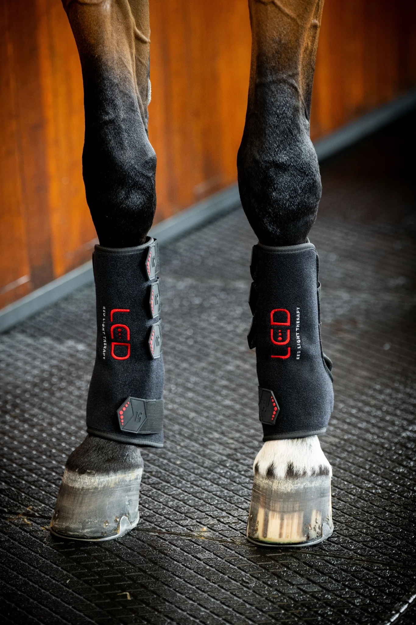 Horseware LED Red Light Therapy Leg Wrap