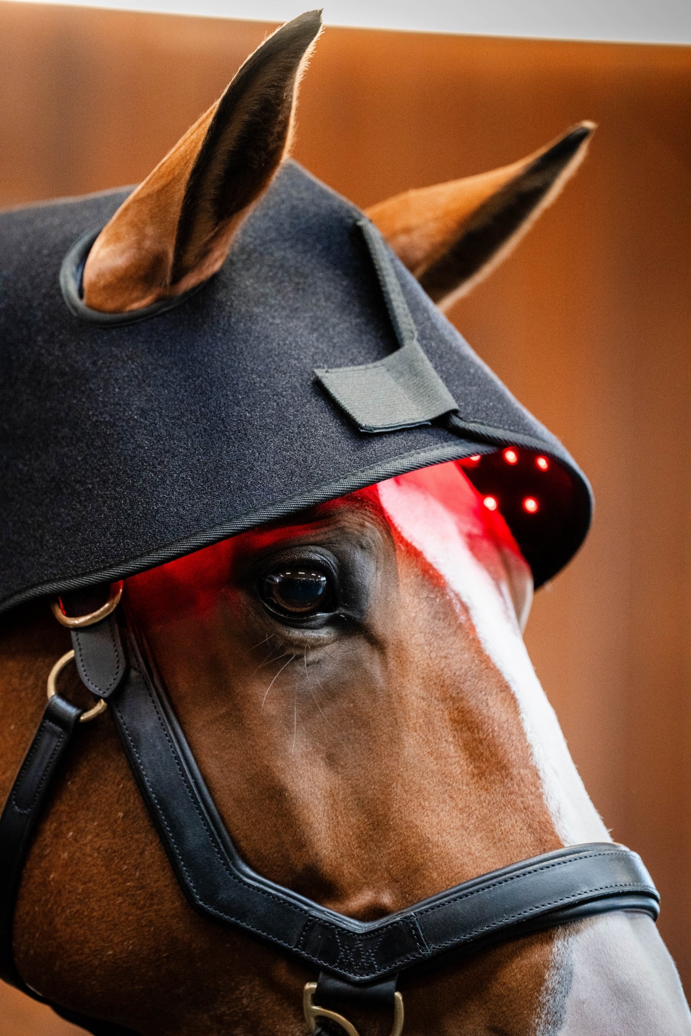 Horseware LED Red Light Therapy Poll Cap - Image 2