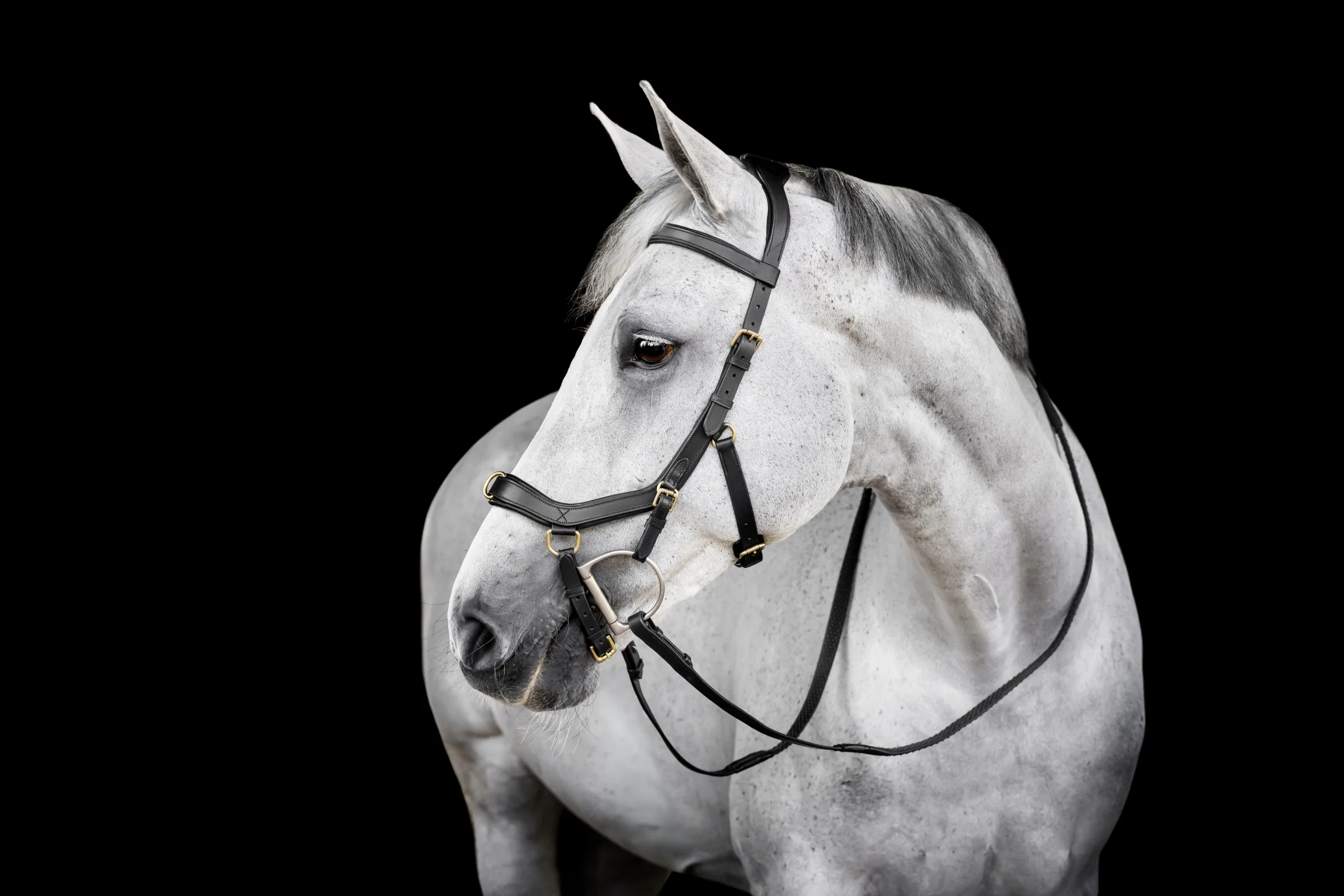 Horseware Micklem Multi Bridle