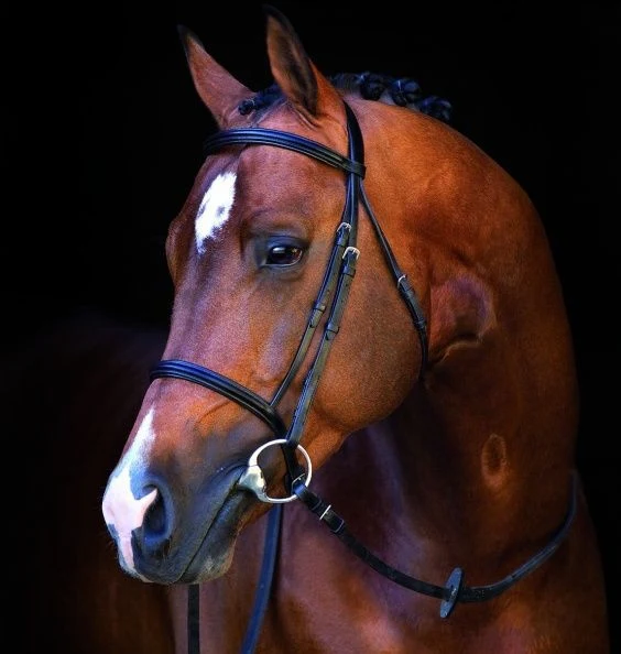 Horseware Mio Bridle Lg Horse Black