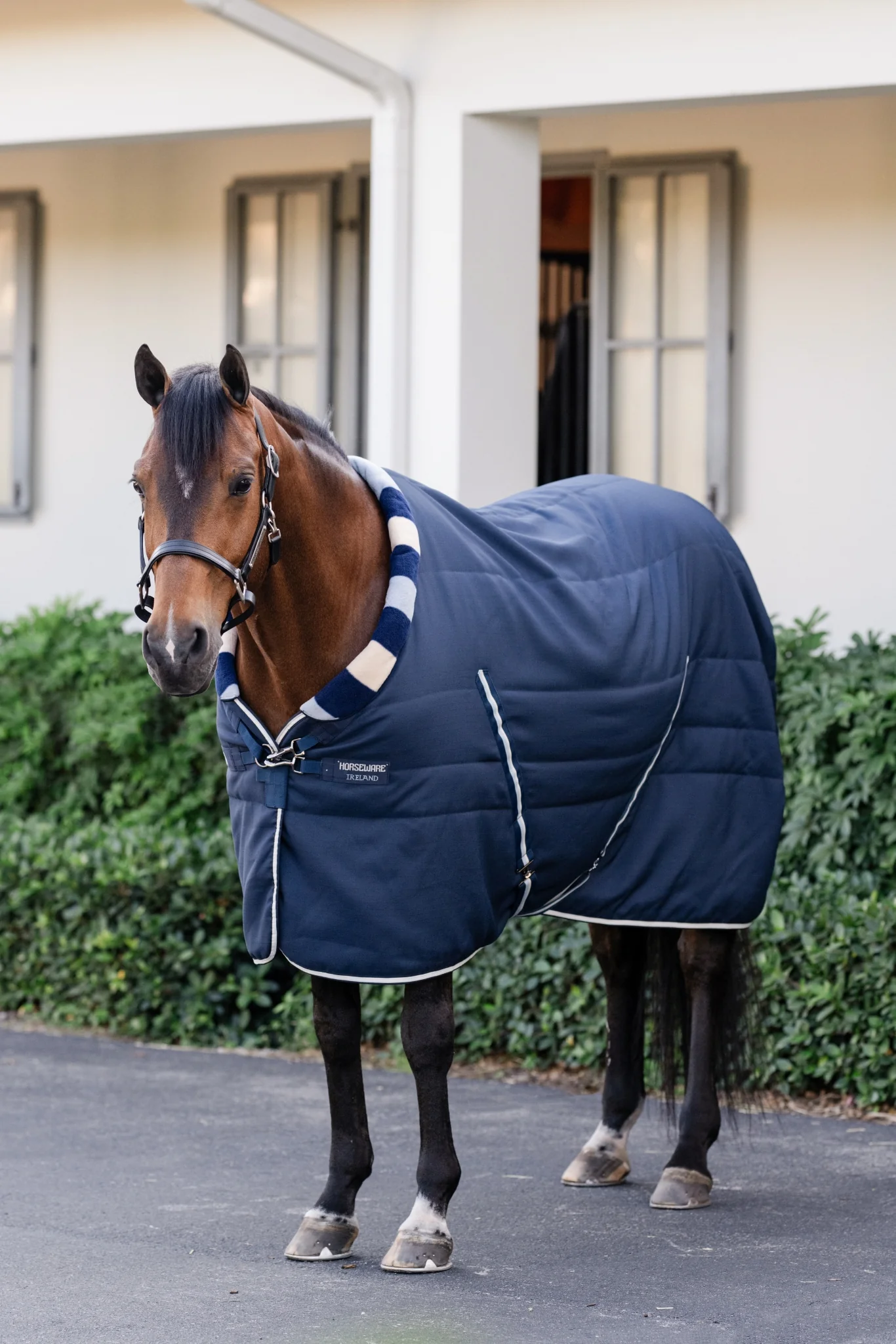 Horseware Newmarket Cozy Stable 200g - Image 2