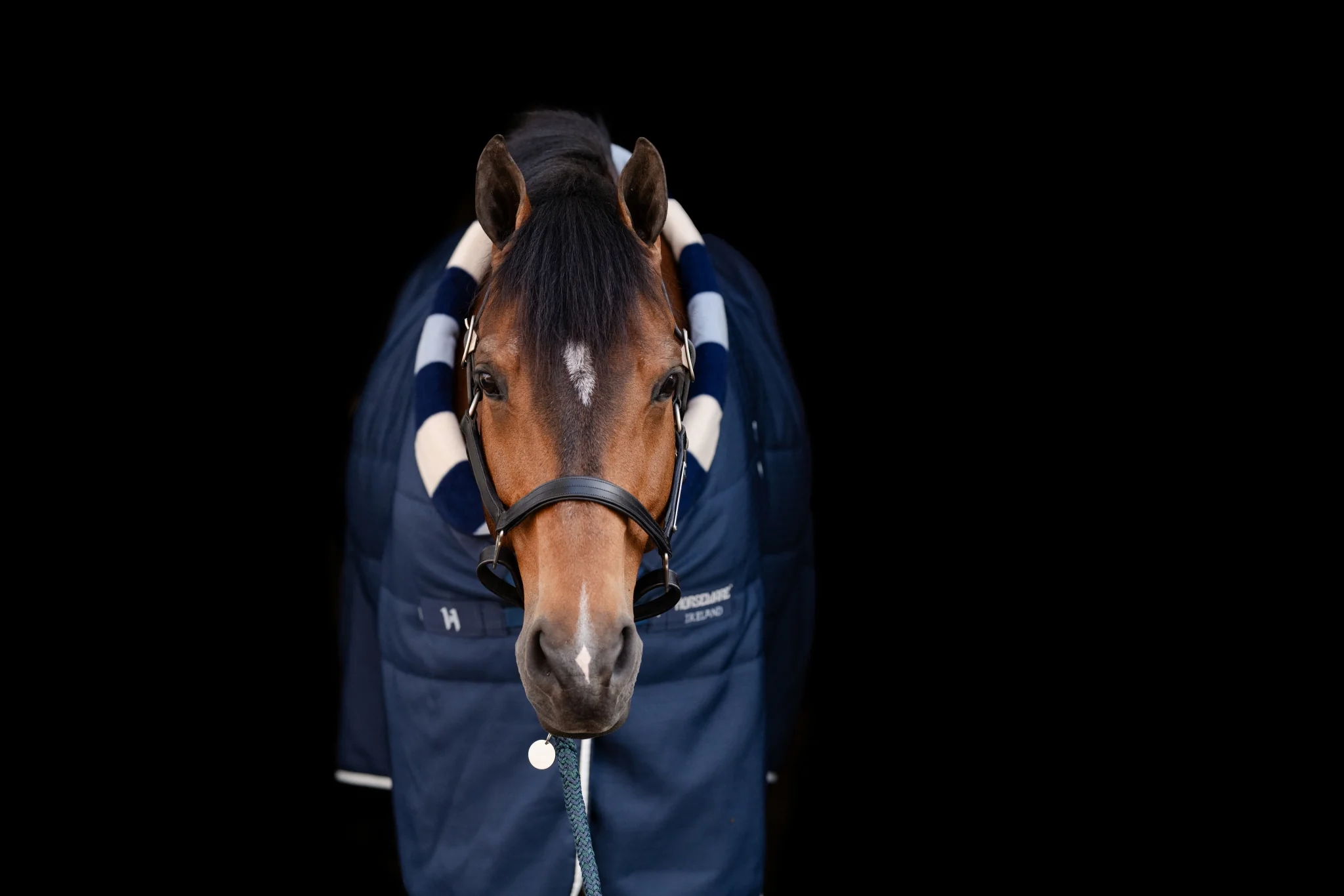 Horseware Newmarket Cozy Stable 200g - Image 4