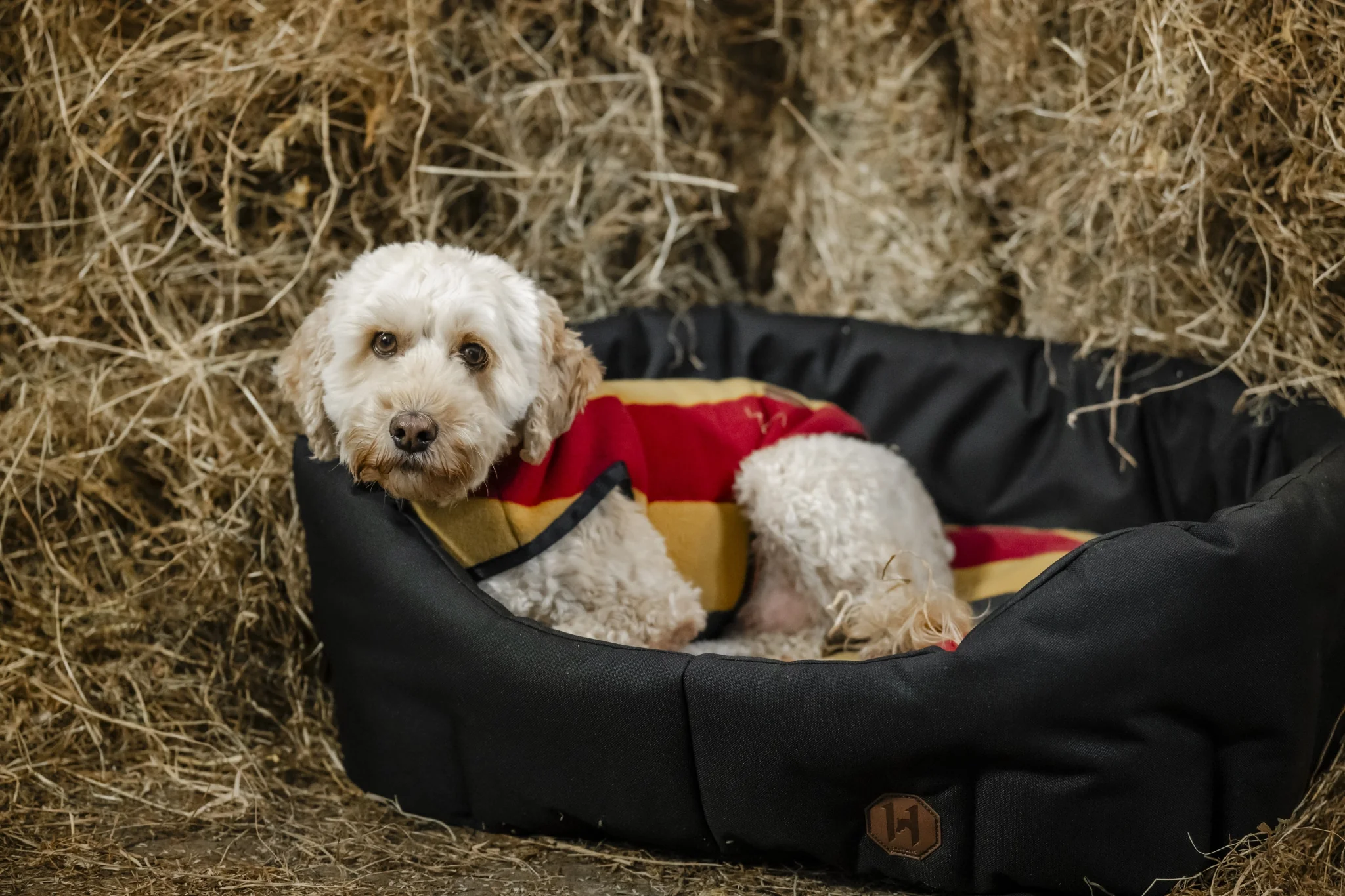 Horseware Newmarket Dog Bed - Image 3