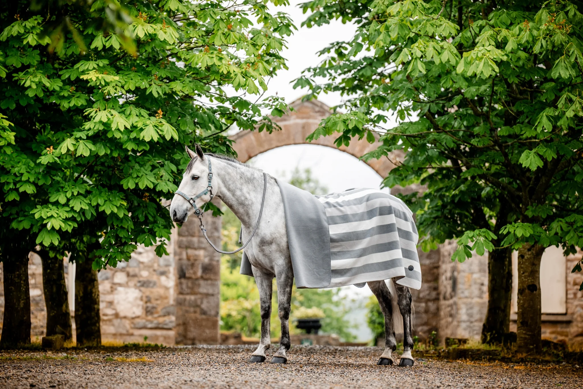 Horseware Newmarket Fleece - Image 3