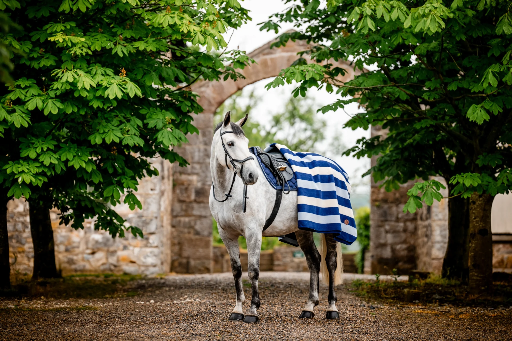 Horseware Newmarket Fleece - Image 5