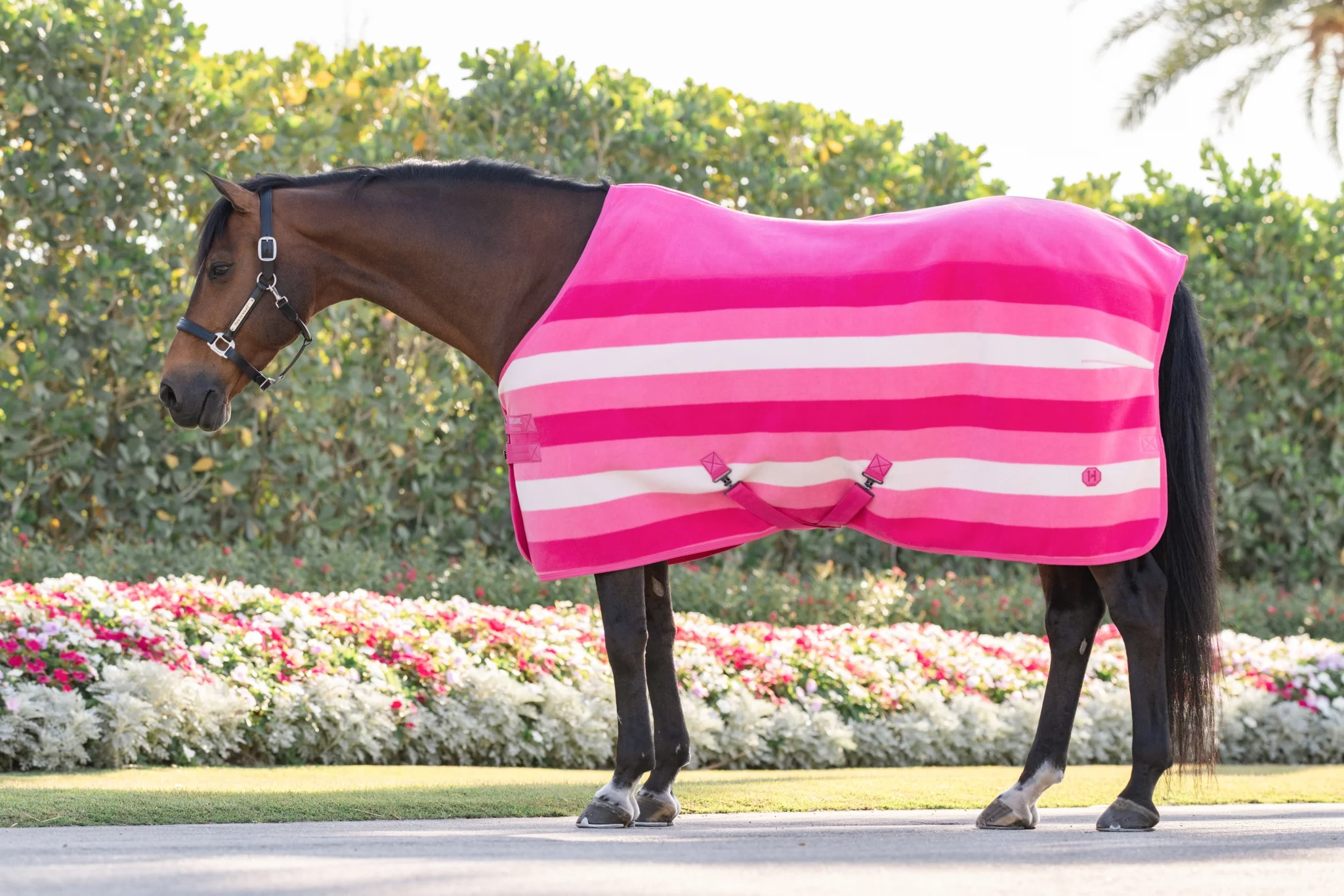 Horseware Newmarket Fleece Cooler - Image 4