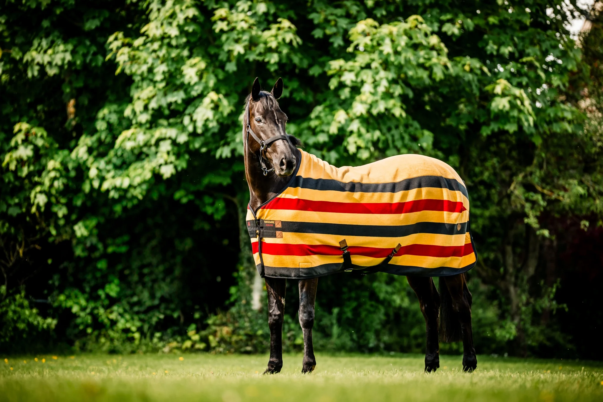 Horseware Newmarket Fleece Cooler - Image 5