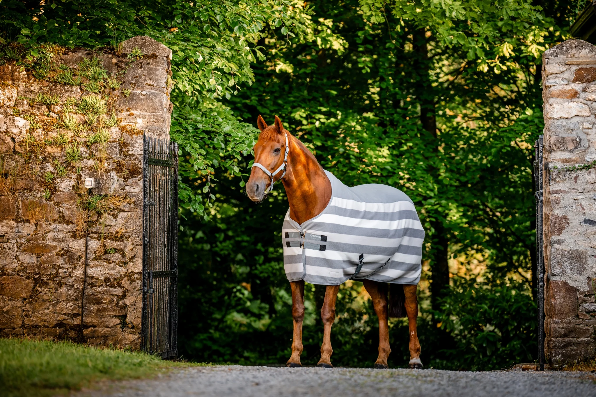 Horseware Newmarket Fleece Cooler - Image 9
