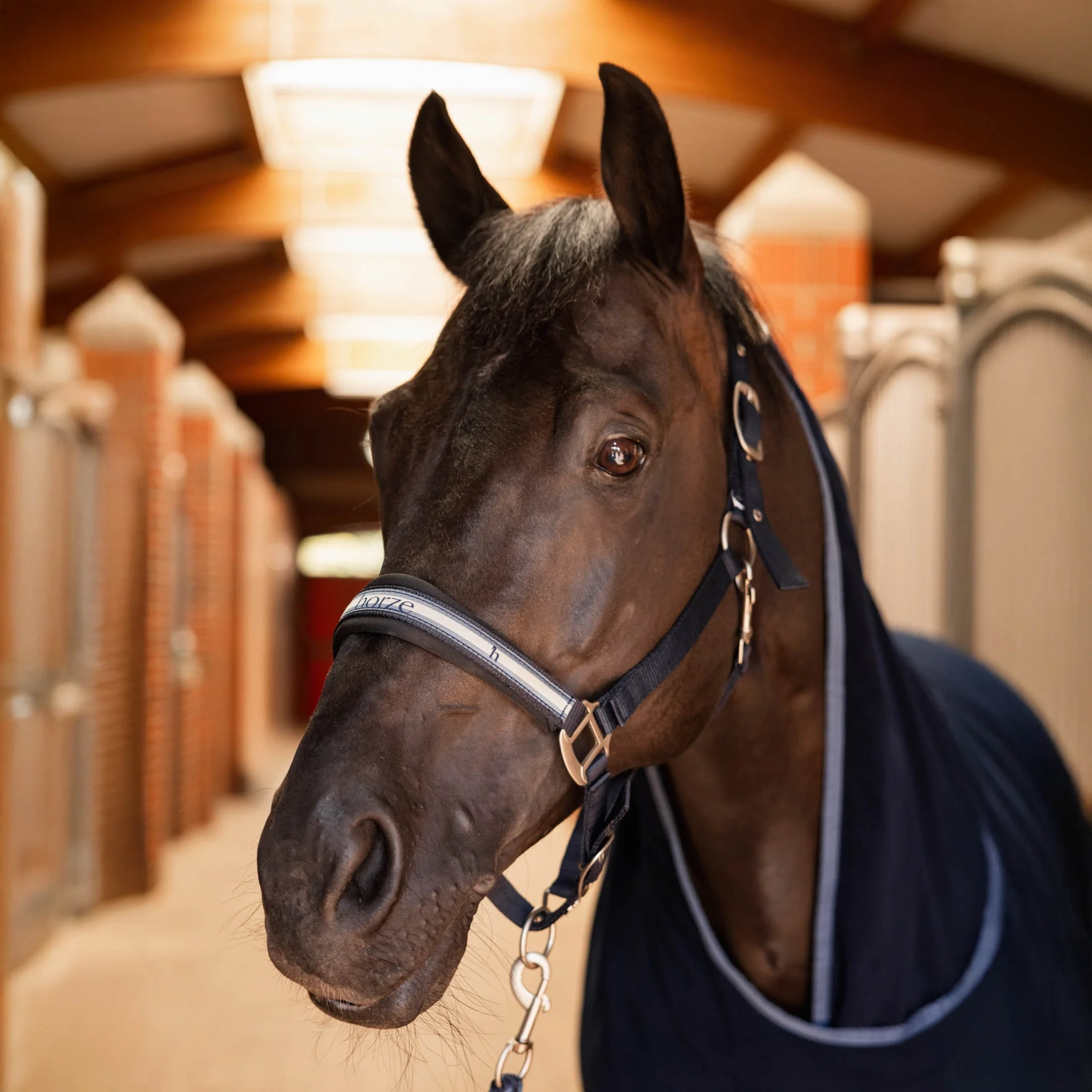 Horze Eternal Gaze Halter and Lead Set