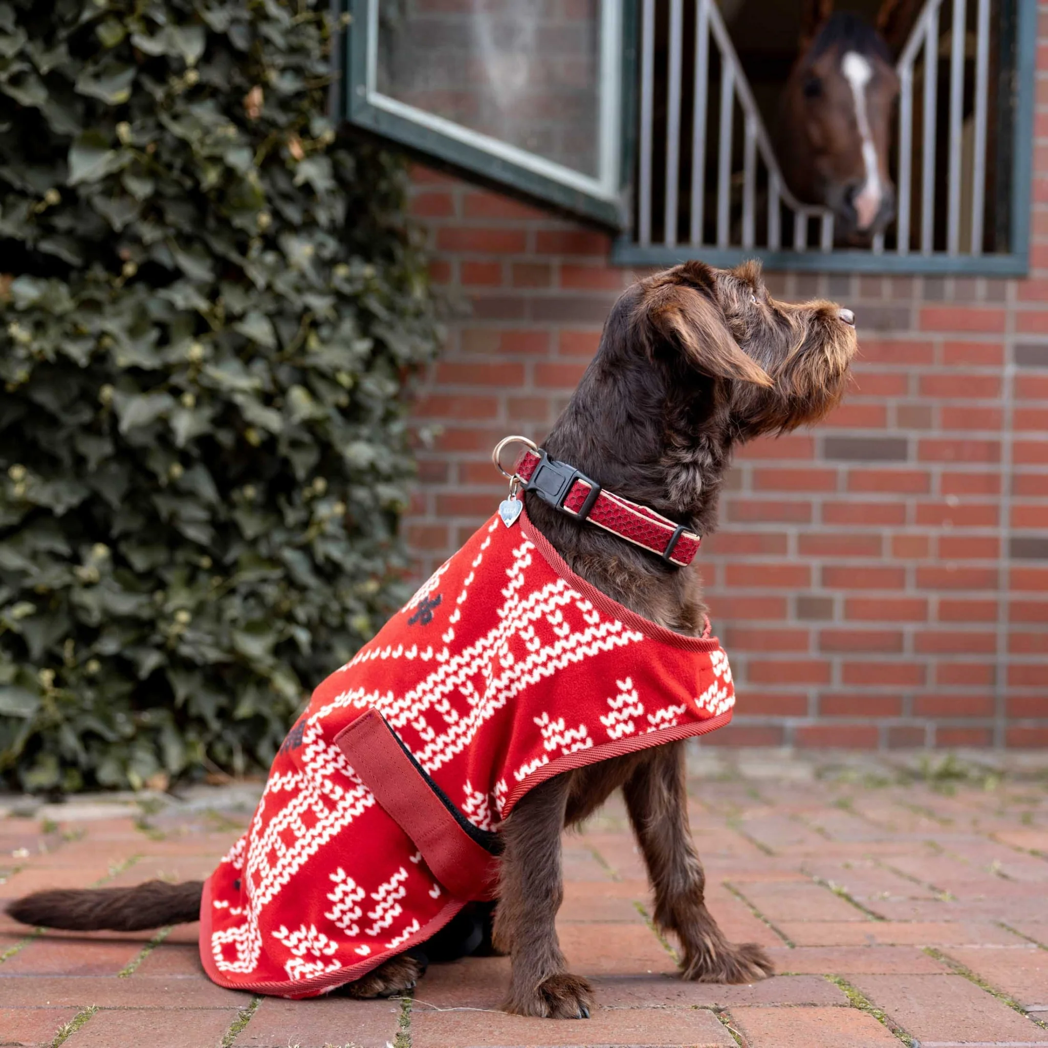 Horze Santa Dog Fleece Coat - Image 3