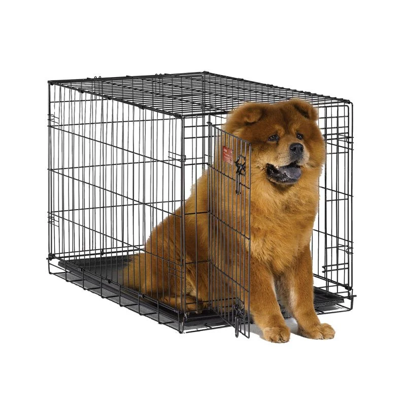 MidWest iCrate Dog Crate - Image 4