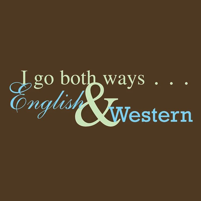 I Go Both Ways Tee Shirt