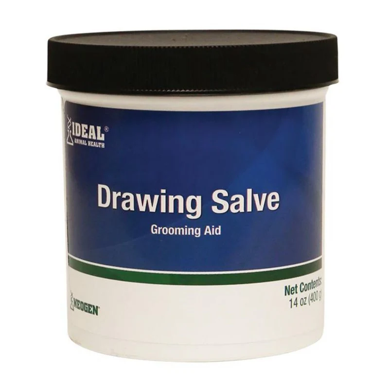 Ideal Drawing Salve