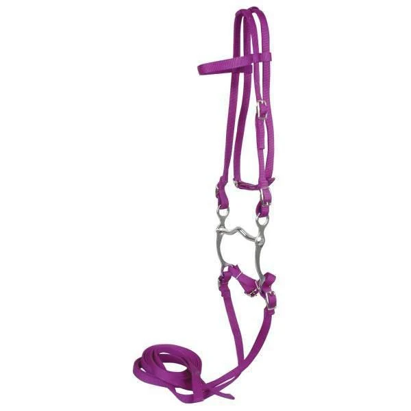 Western Bridle With Reins 10337 Black - Image 4