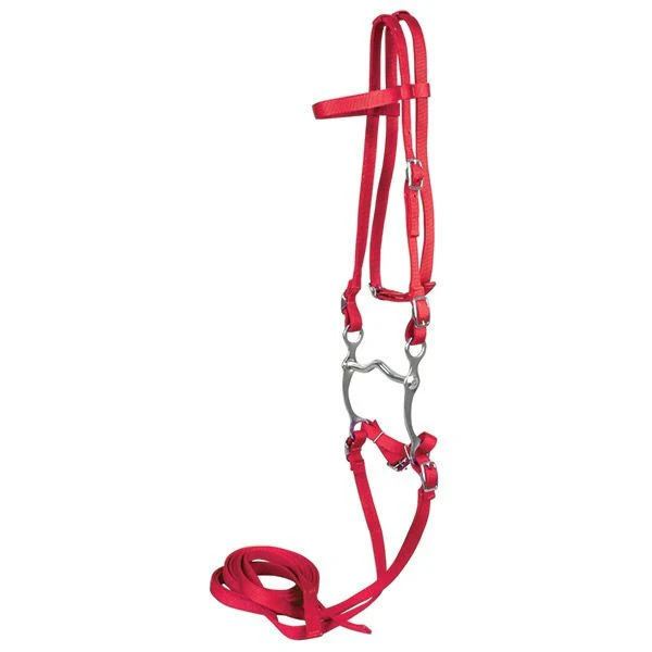 Western Bridle With Reins 10337 Black - Image 5