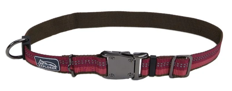 K9 Explorer Reflective Dog Collar - Image 3