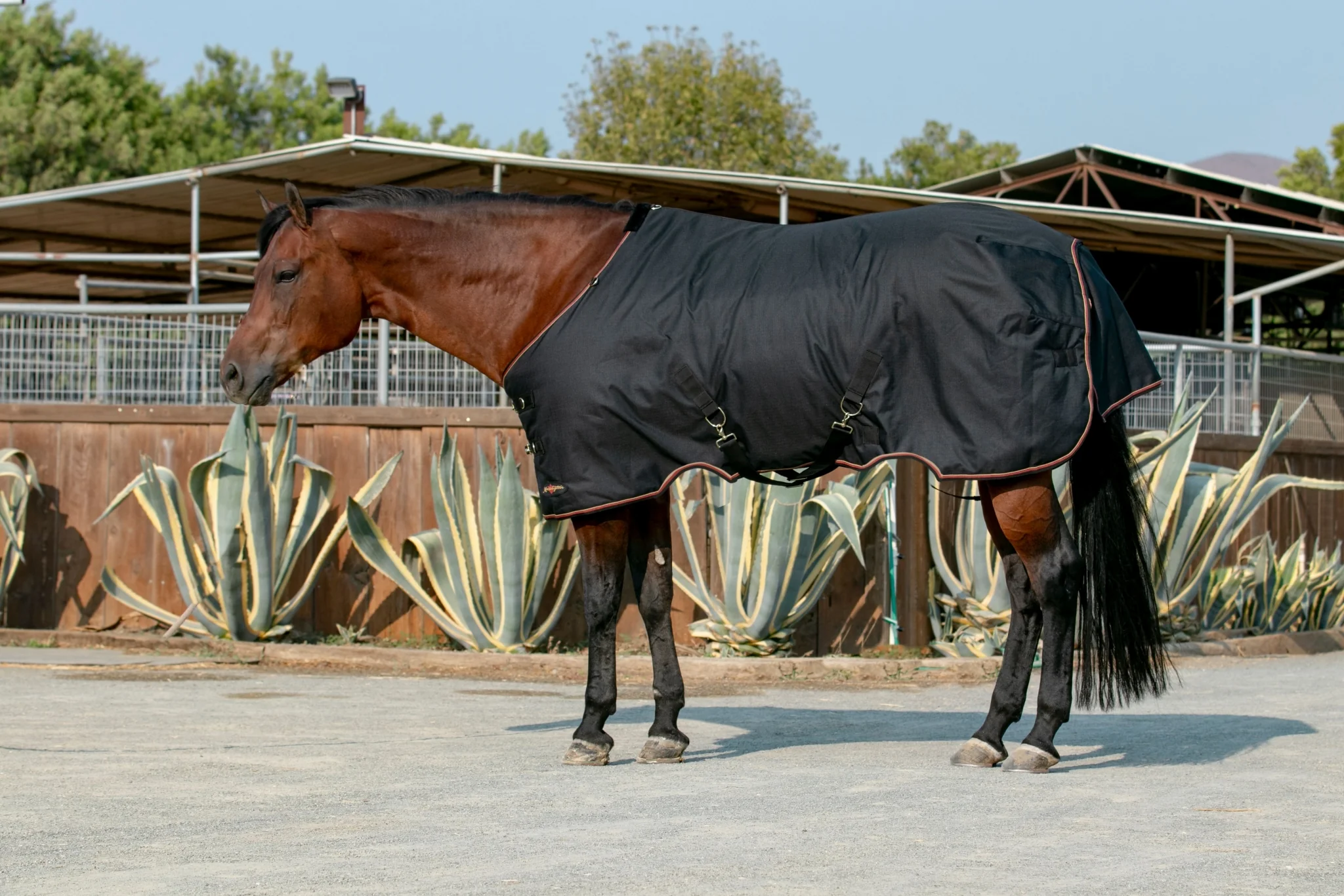 Kensington 1200D Turnout 180g - Image 5