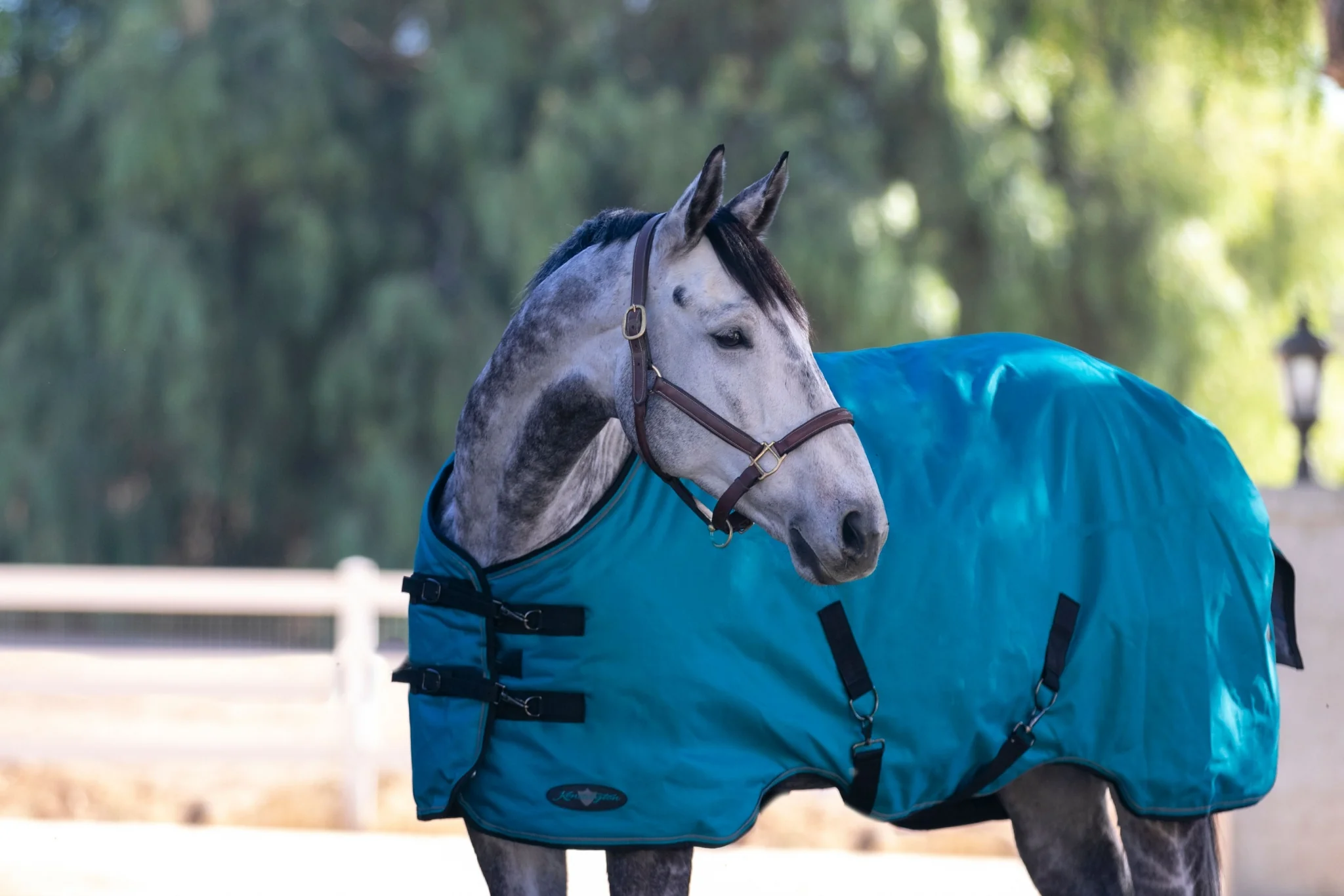 Kensington 1200D Turnout 180g - Image 6