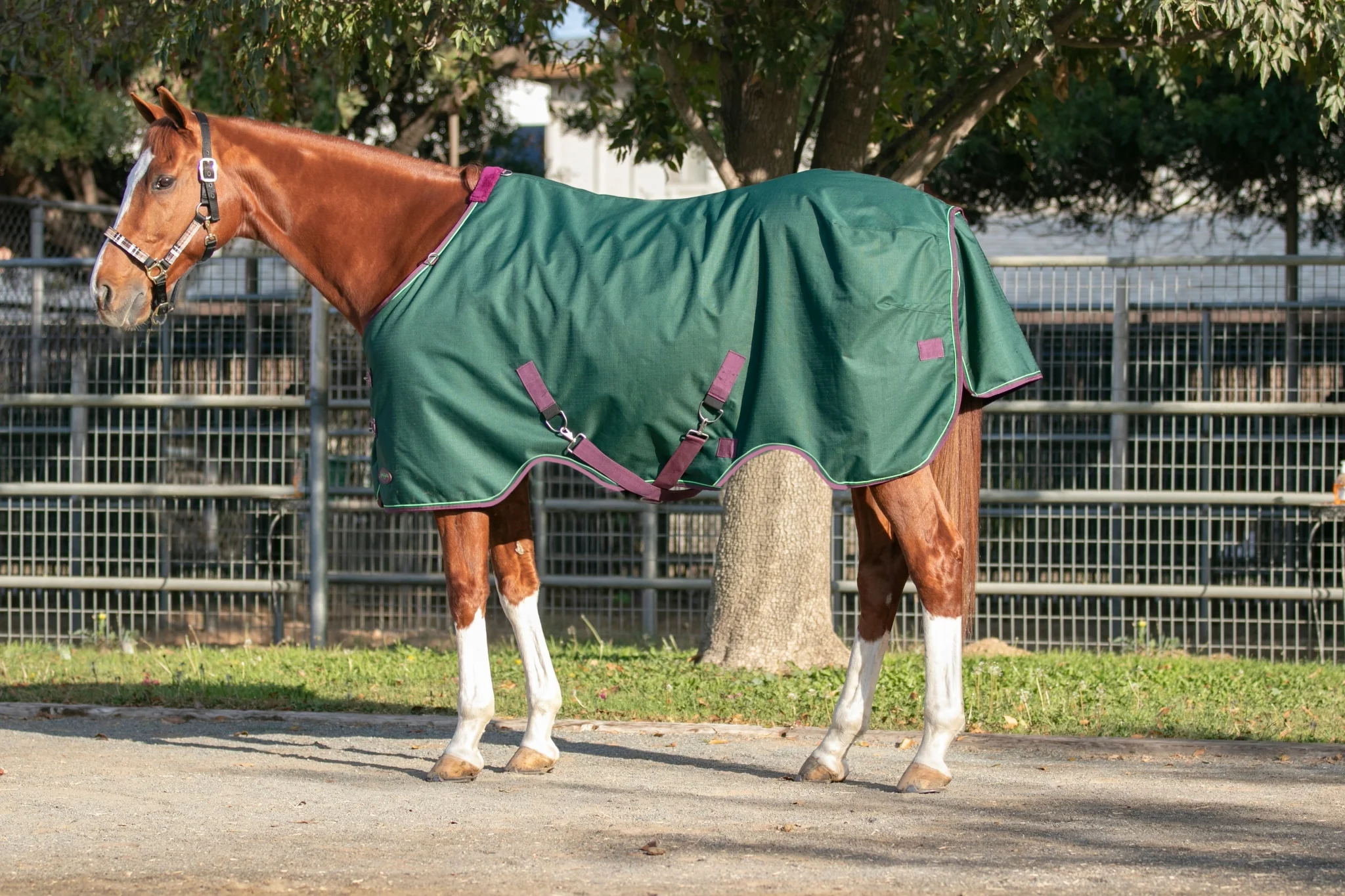 Kensington 1200D Turnout 180g - Image 3