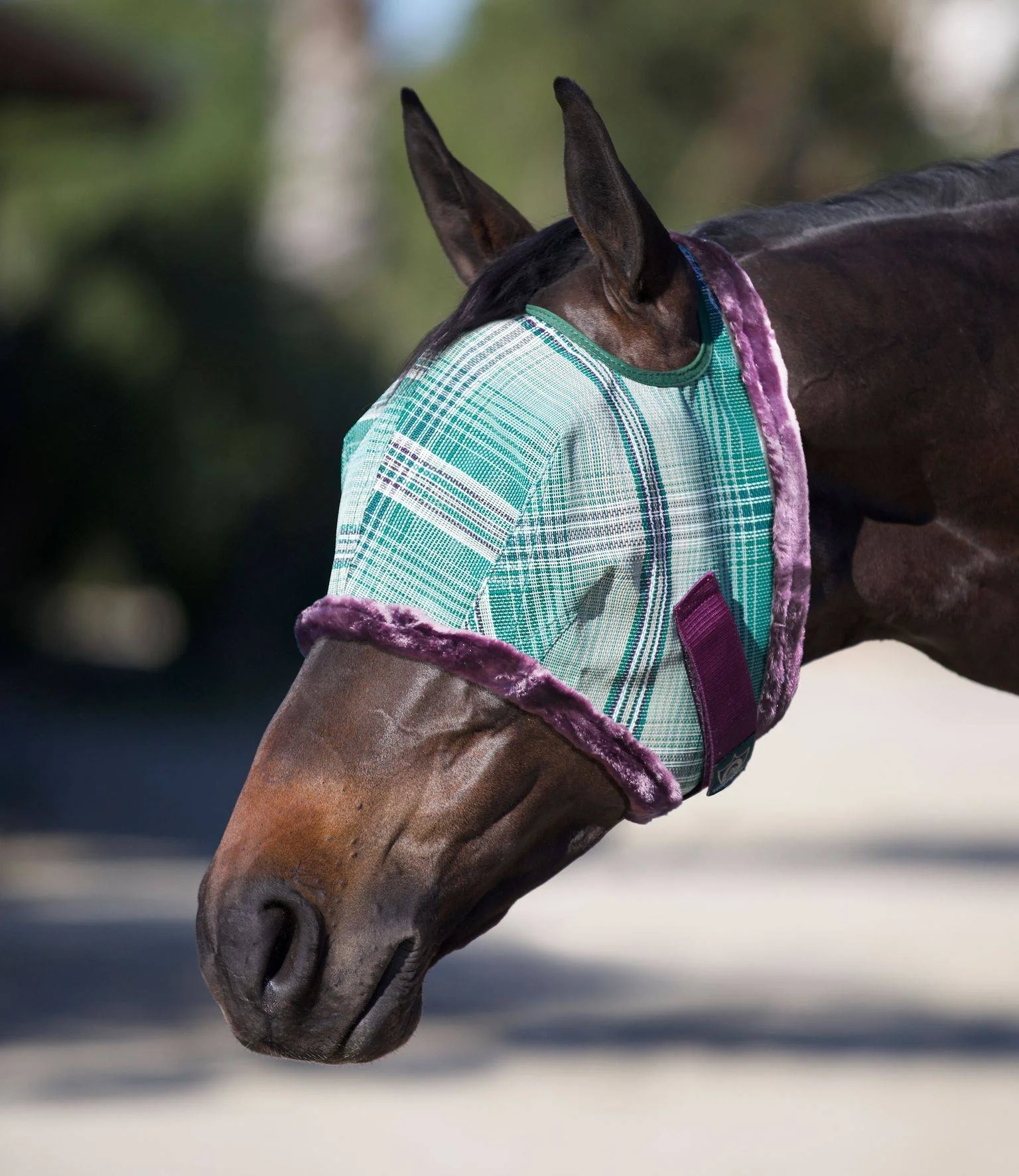 Kensington Fly Mask with Fleece Trim - Image 10