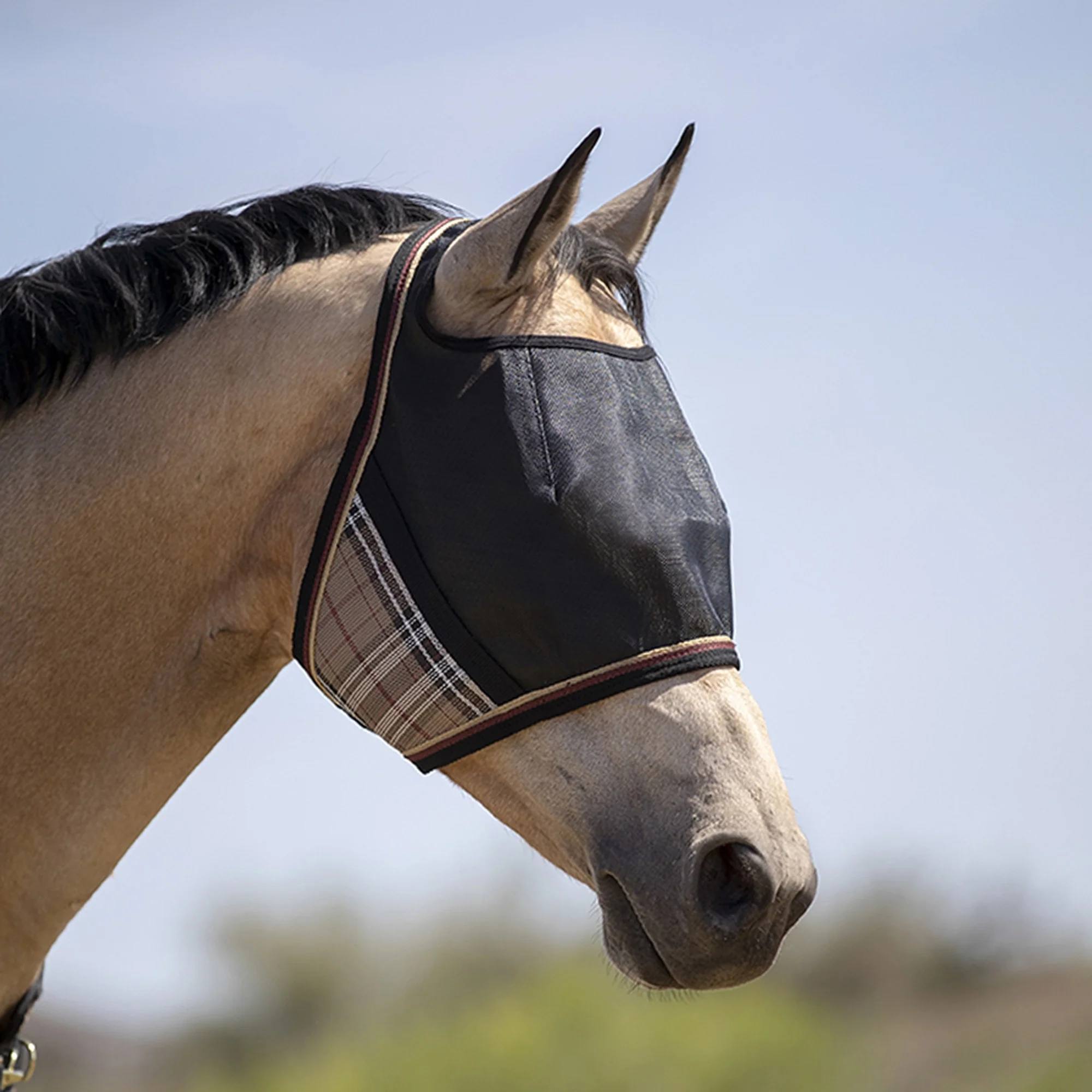 UV CatchMask Web Trim - Image 12