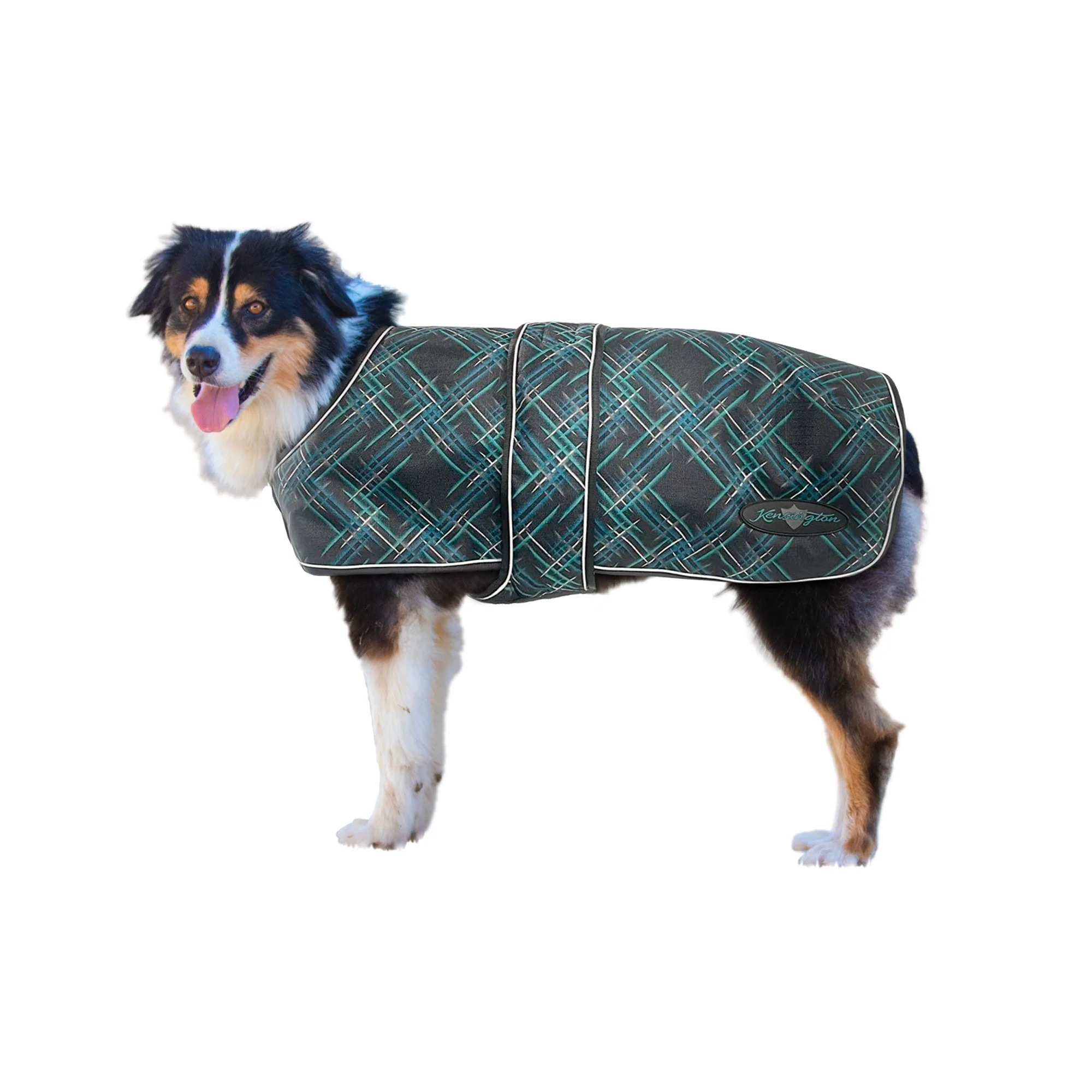 Kensington 1200D Winter Dog Coat with Chest Wrap -180g - Image 2
