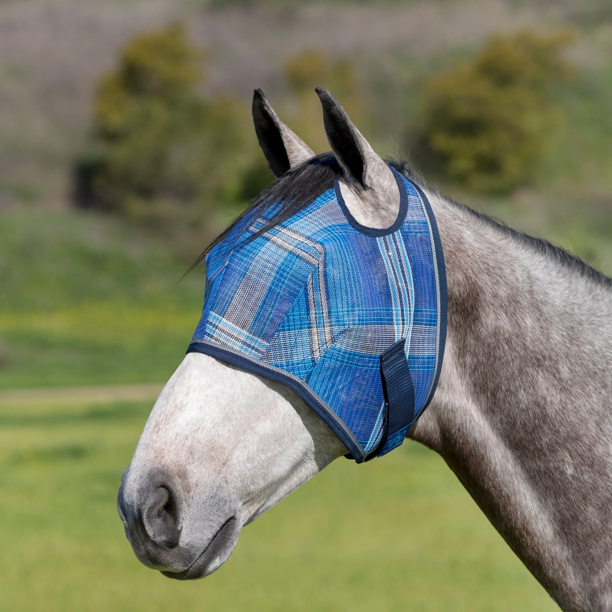 Kensington Fly Mask with 73% UV Protection - Open Top Design - Image 11