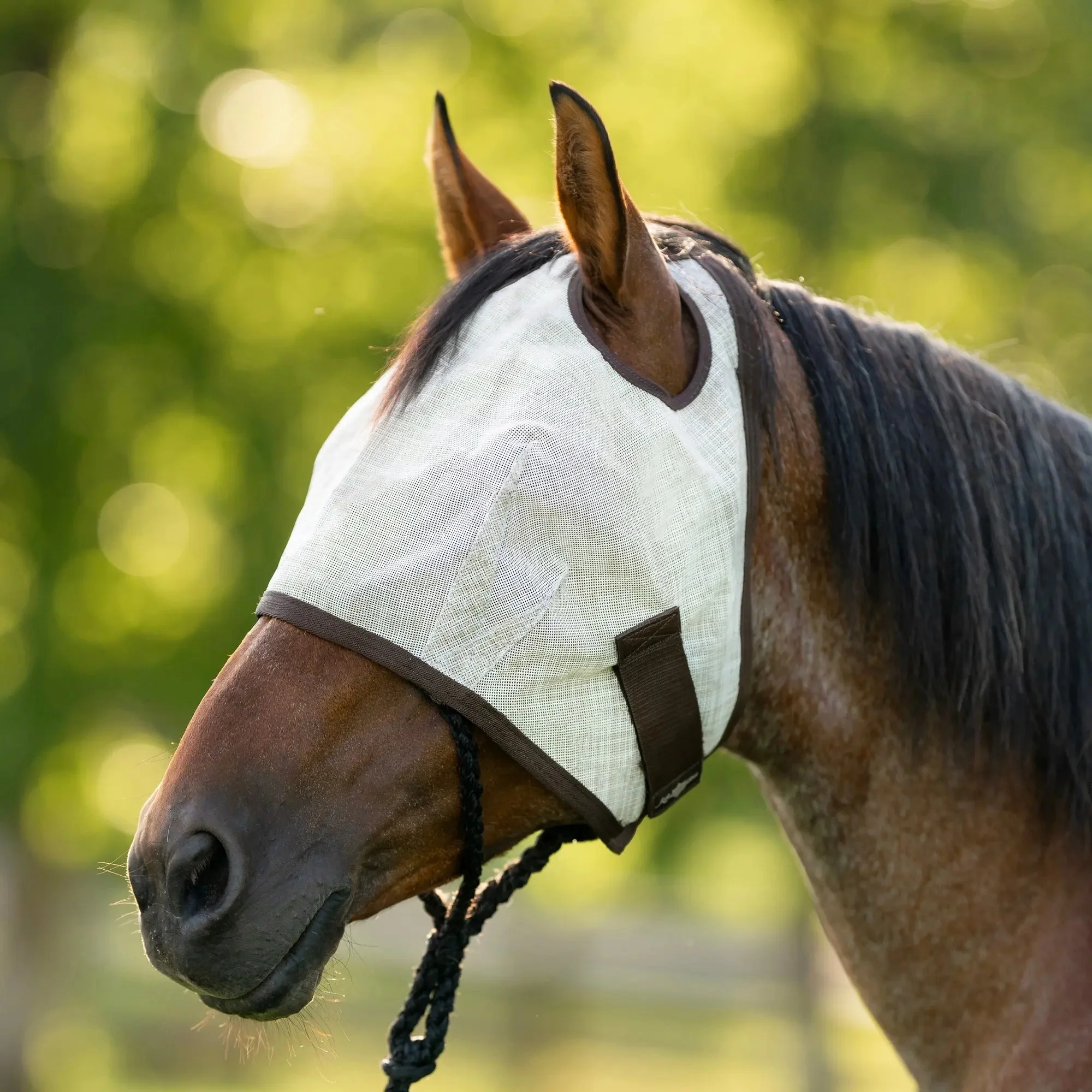 Kensington Fly Mask with 73% UV Protection - Open Top Design - Image 3
