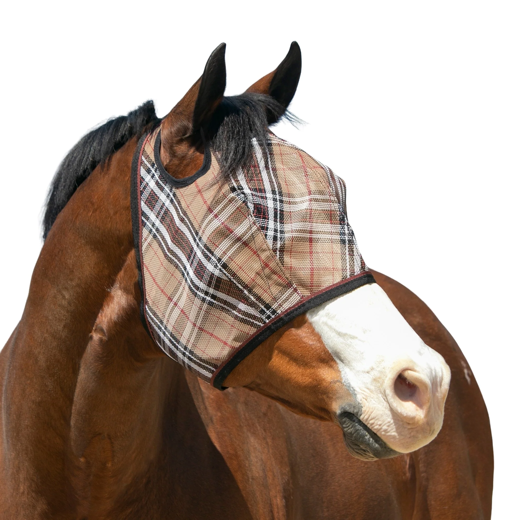 Kensington Fly Mask with 73% UV Protection - Open Top Design - Image 6
