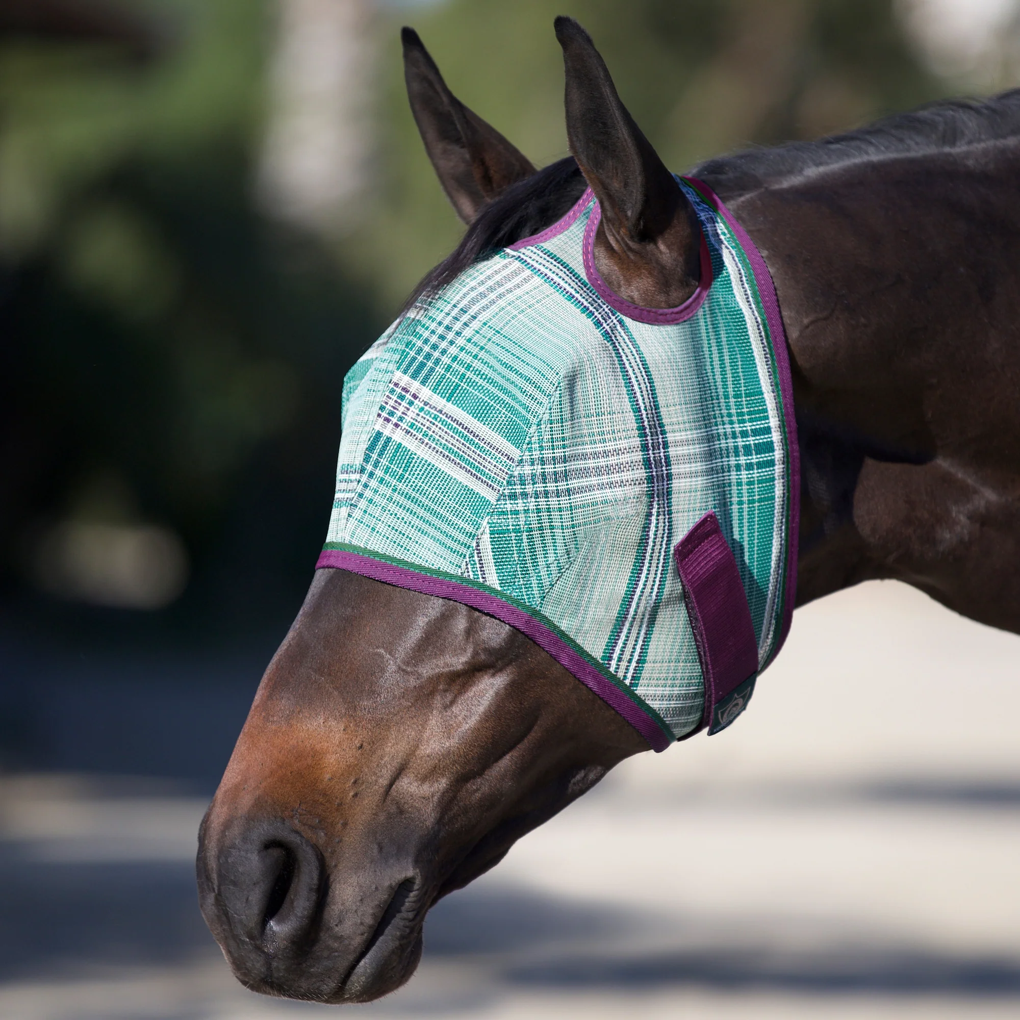 Kensington Fly Mask with 73% UV Protection - Open Top Design - Image 7