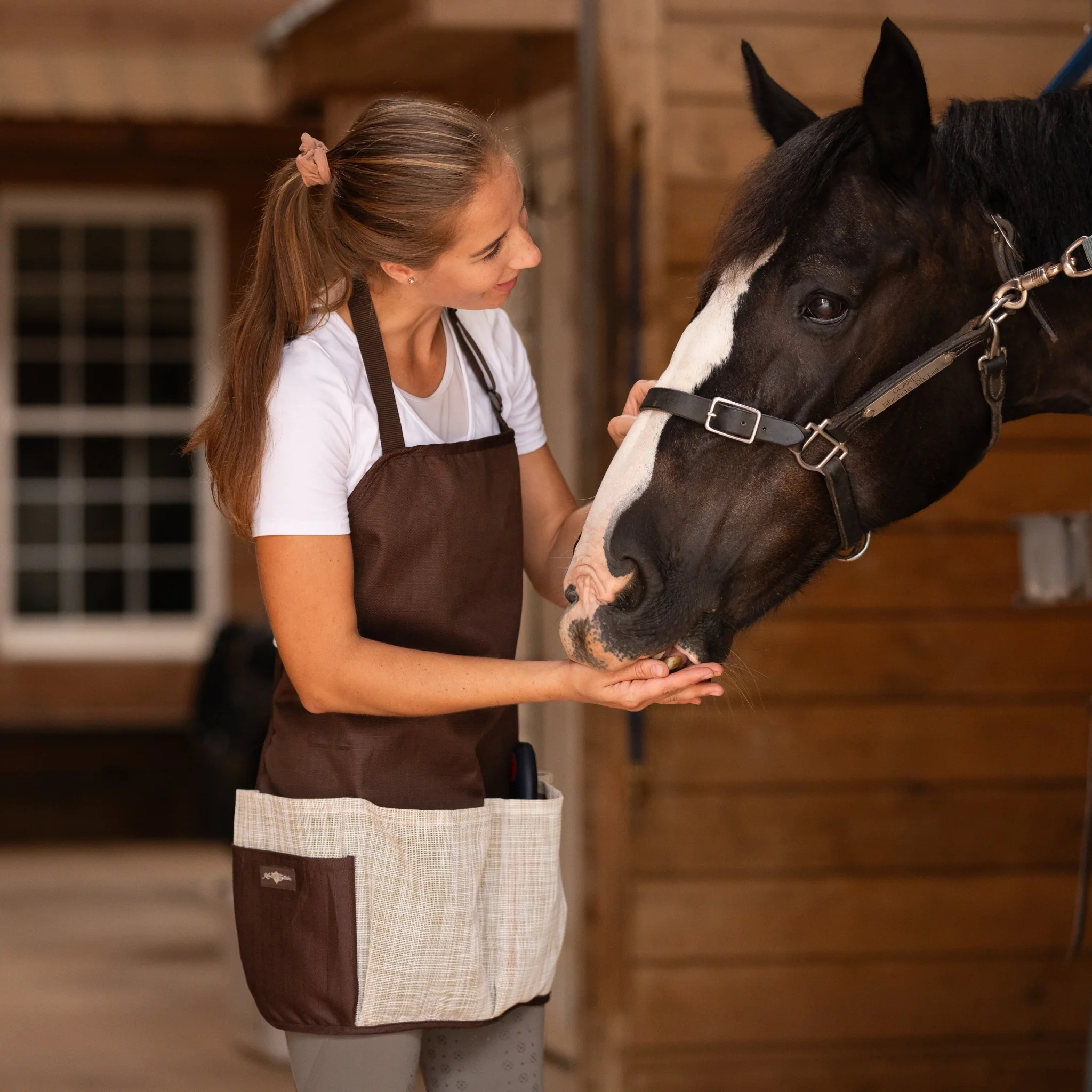 Kensington Grooming Apron Blue Ice Plaid - Image 9
