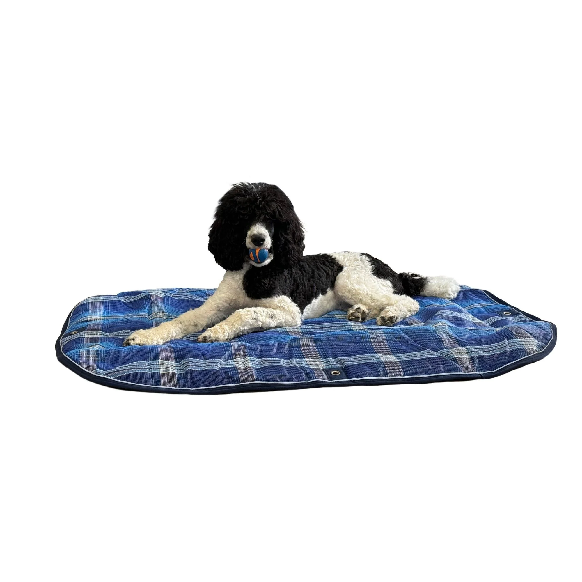 Kensington Outdoor Dog Camping Pad - Image 11