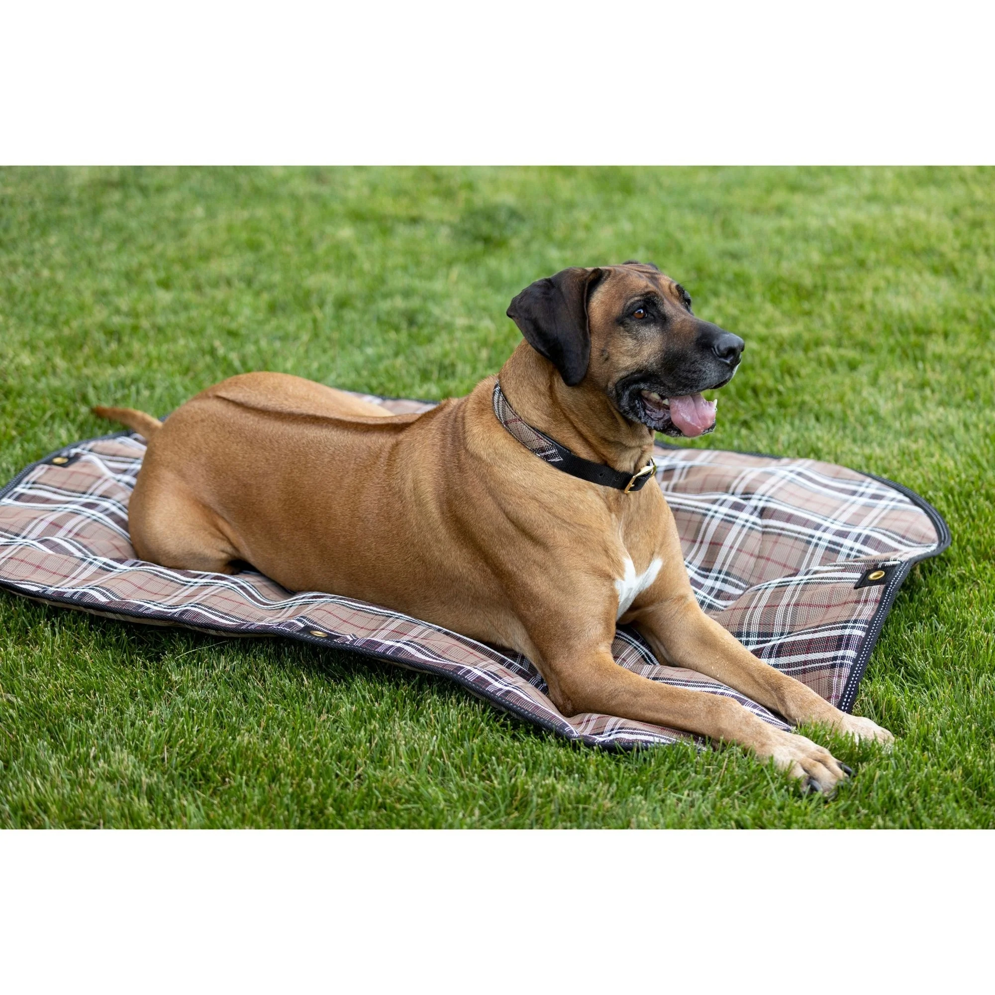 Kensington Outdoor Dog Camping Pad - Image 9