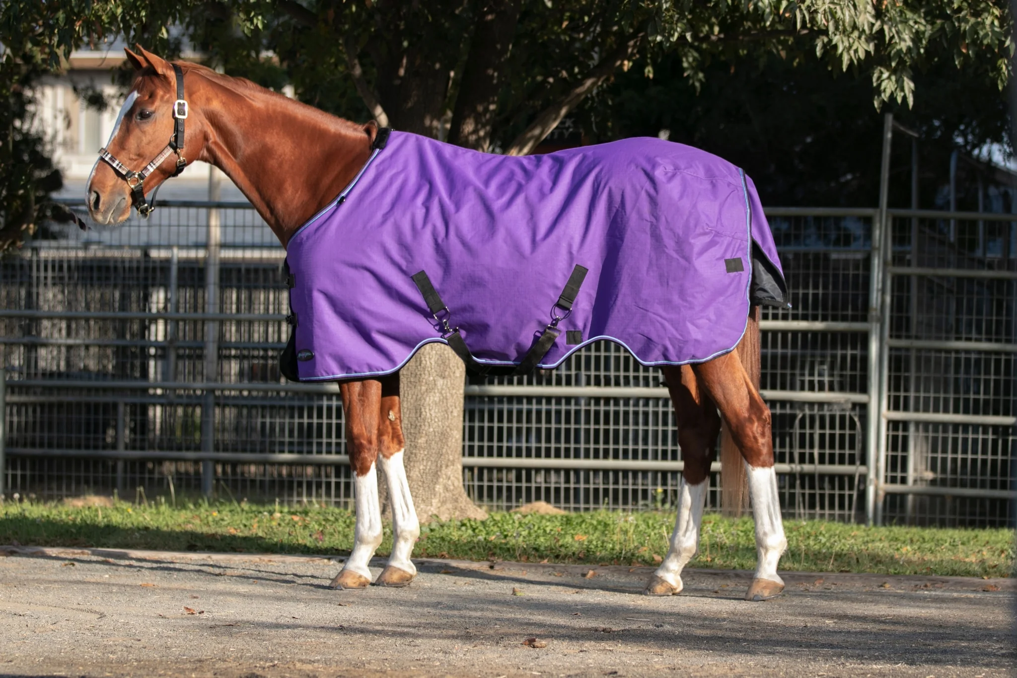 Kensington 1200D Turnout 300g - Image 3