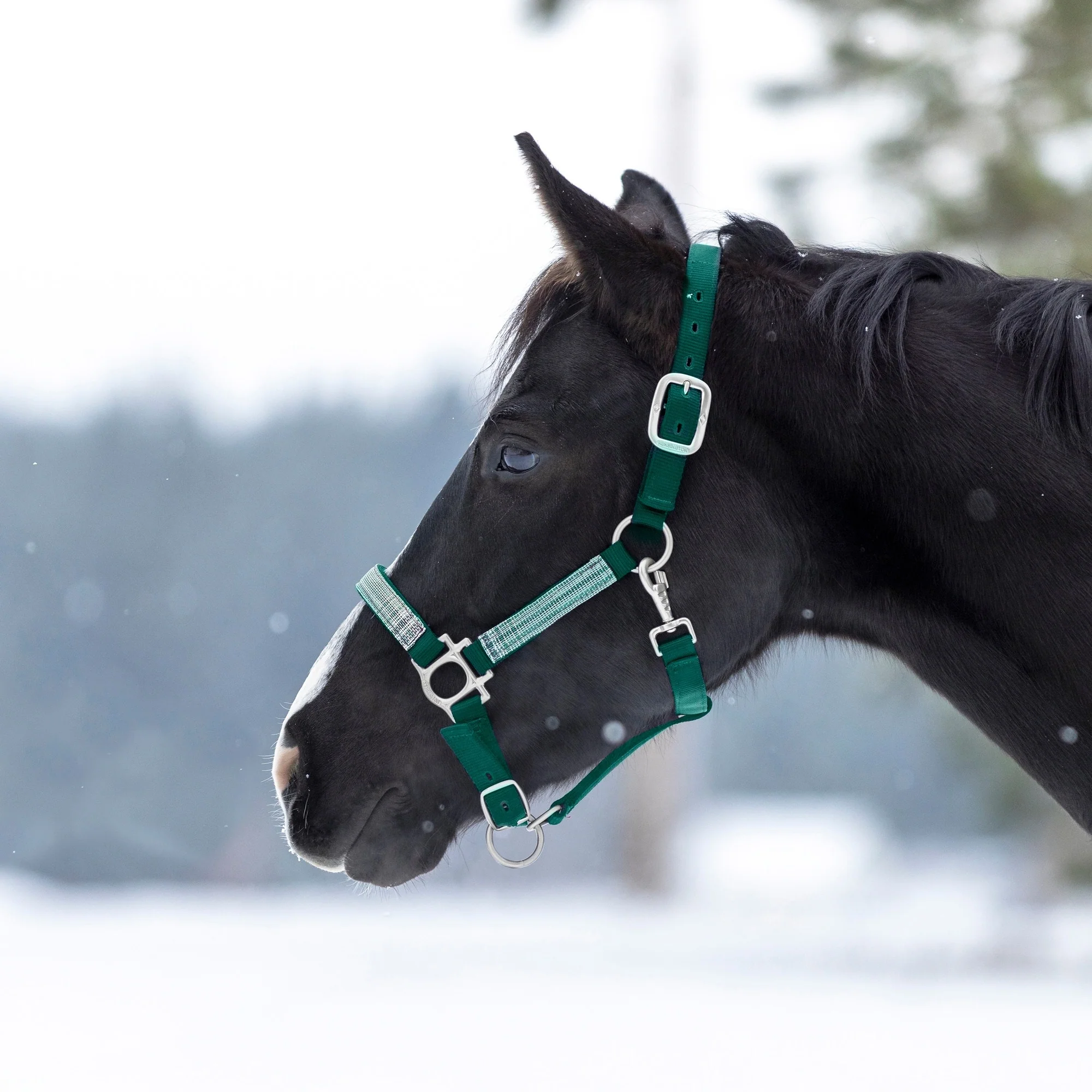 Kensington Reflective Nylon Halter - Image 2