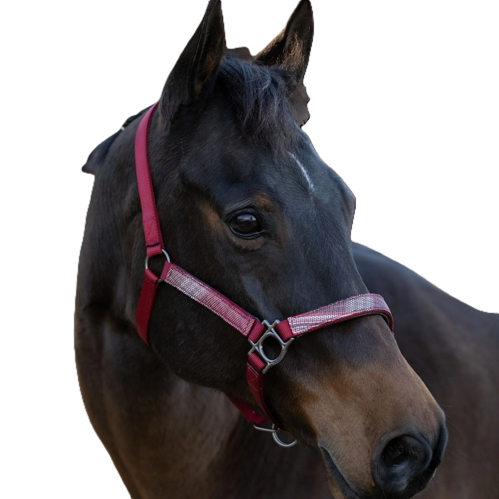 Kensington Reflective Nylon Halter