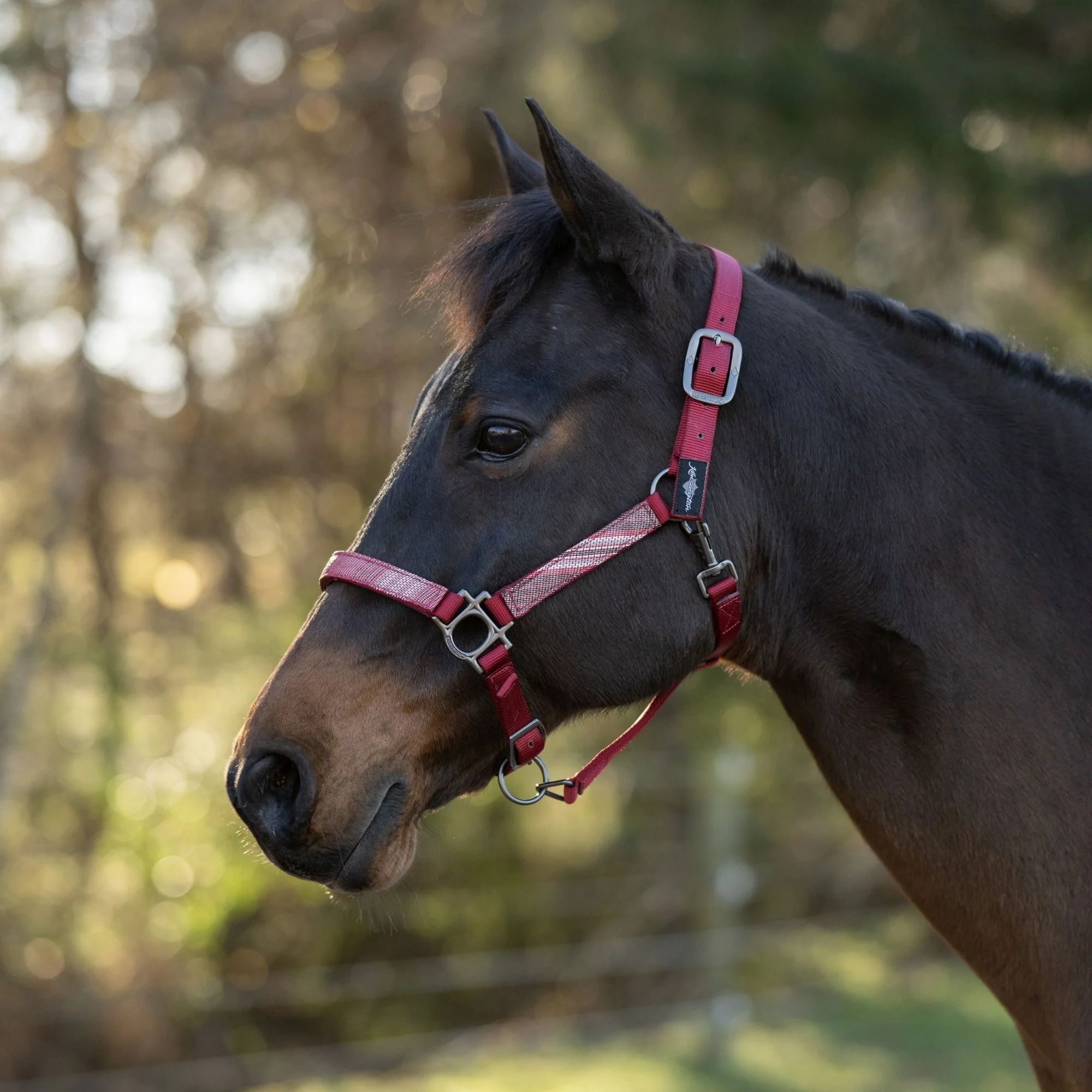 Kensington Reflective Nylon Halter - Image 2