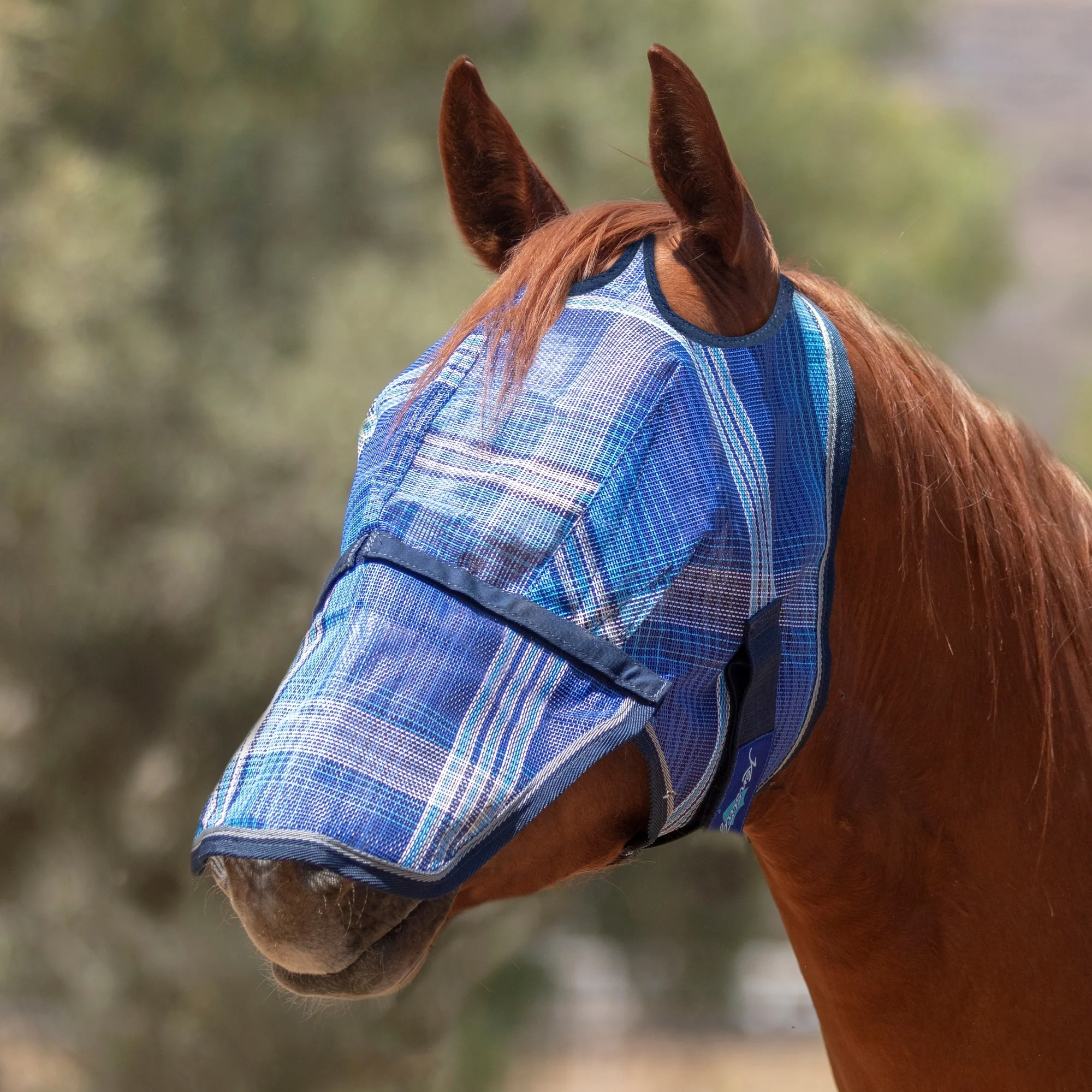 Kensington UV Fly Mask with Nose - Dual Ear & Forelock - Image 10