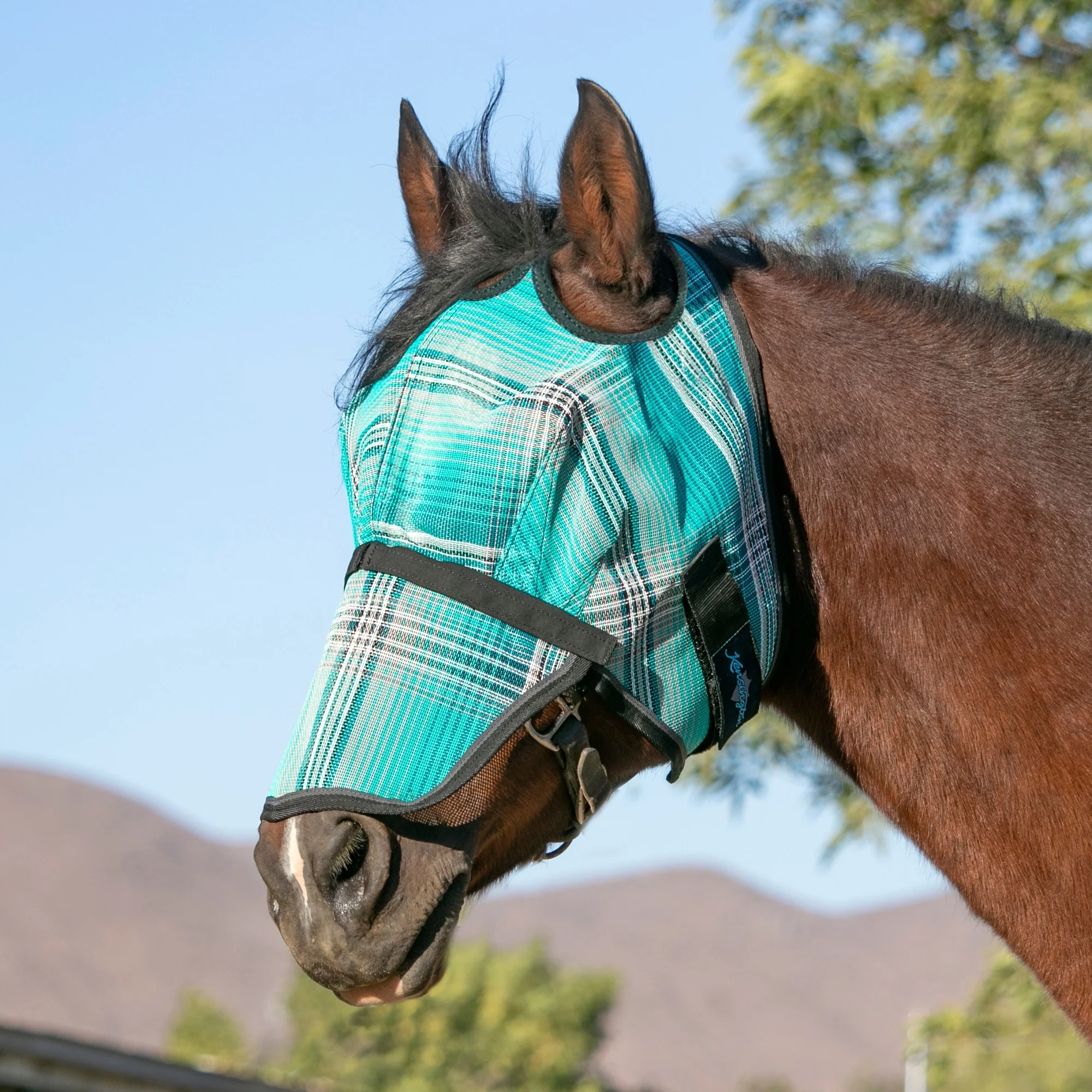 Kensington UV Fly Mask with Nose - Dual Ear & Forelock - Image 13